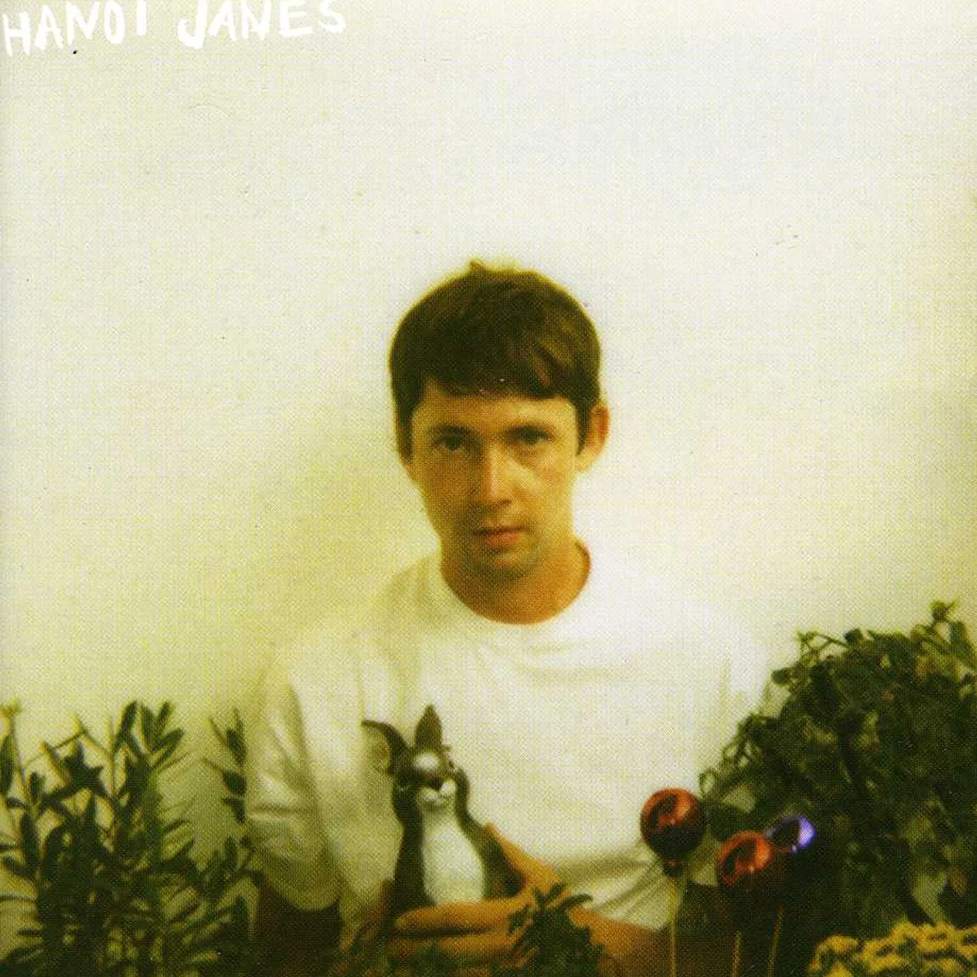 Hanoi Janes YEAR OF PANIC CD