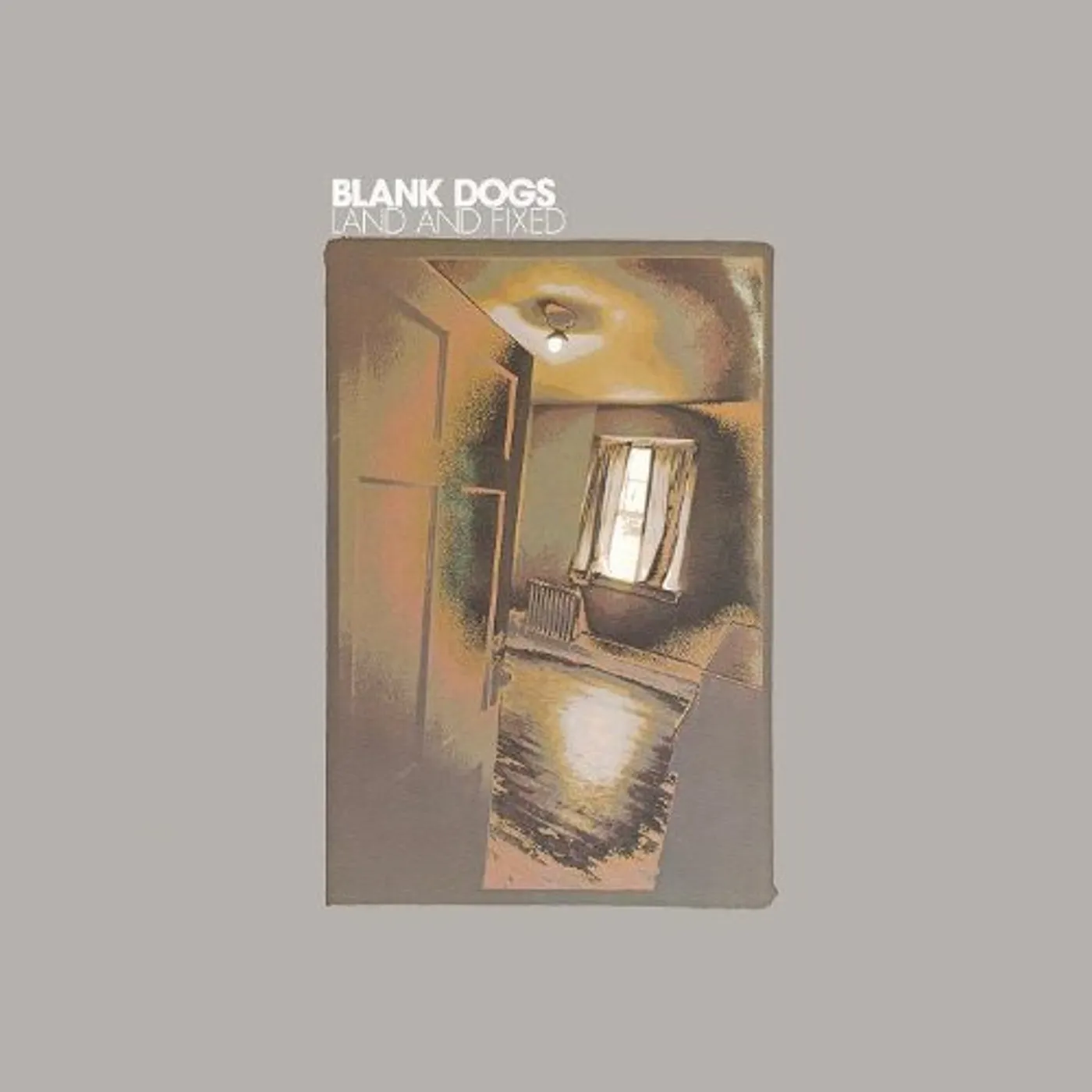 Blank Dogs Land and Fixed Vinyl Record