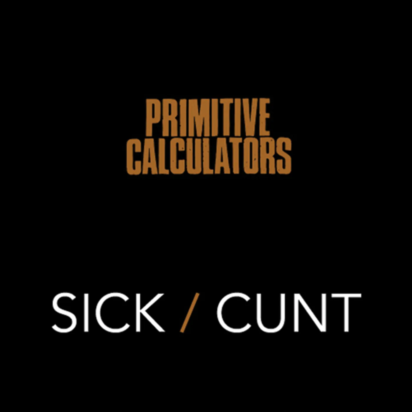 Primitive Calculators Sick/Cunt Vinyl Record