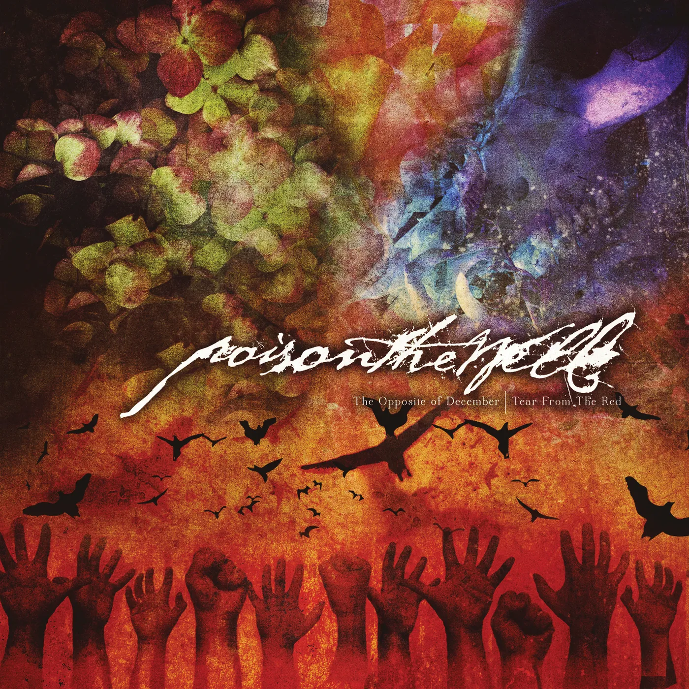 Poison The Well OPPOSITE OF DECEMBER / TEAR FROM THE RED CD