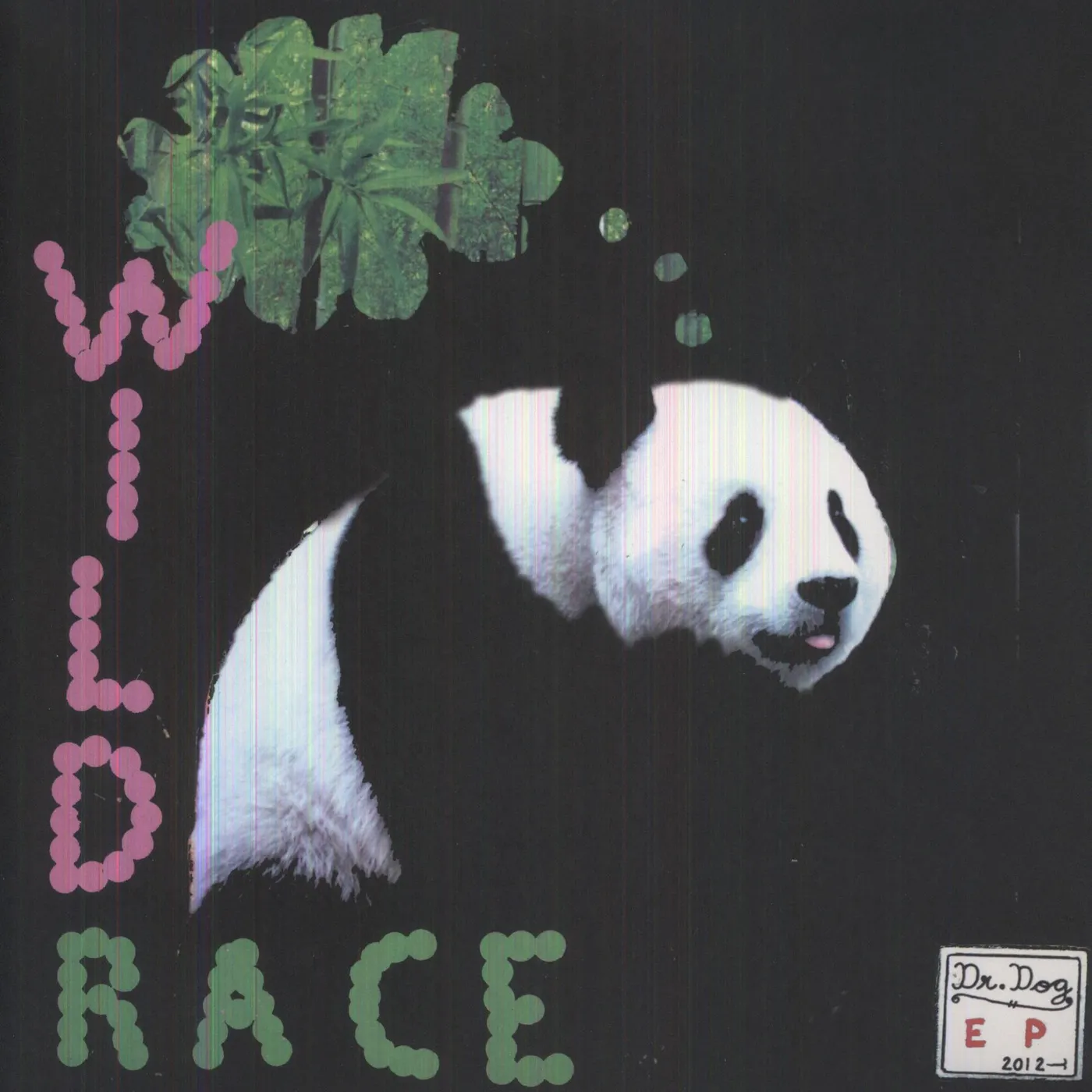 Dr. Dog Wild Race Vinyl Record