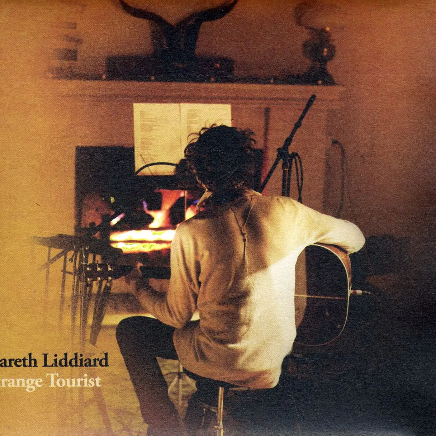 Gareth Liddiard STRANGE TOURIST CD