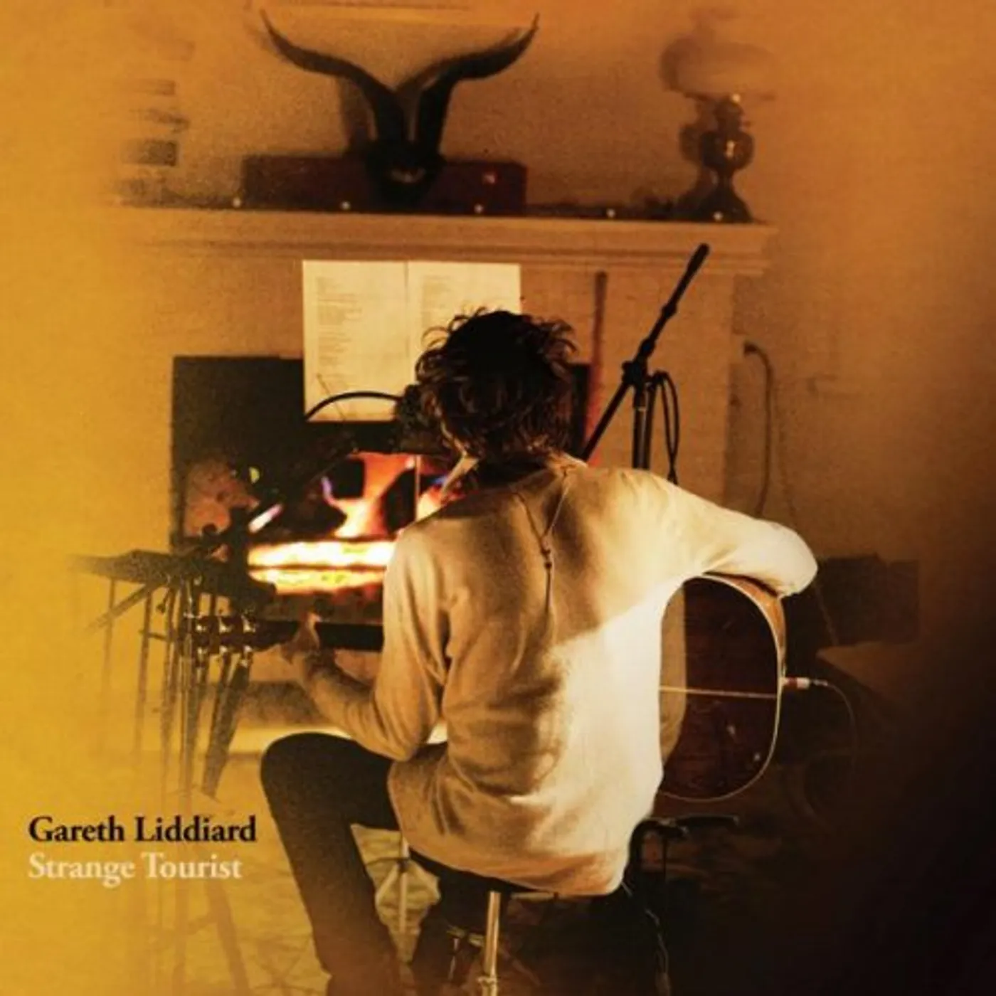 Gareth Liddiard Strange Tourist Vinyl Record