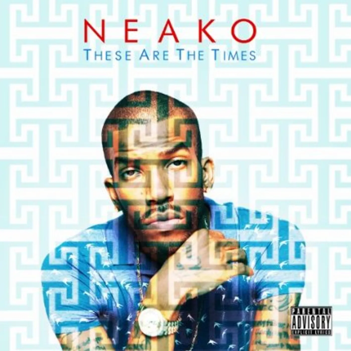 Neako THESE ARE THE TIMES CD
