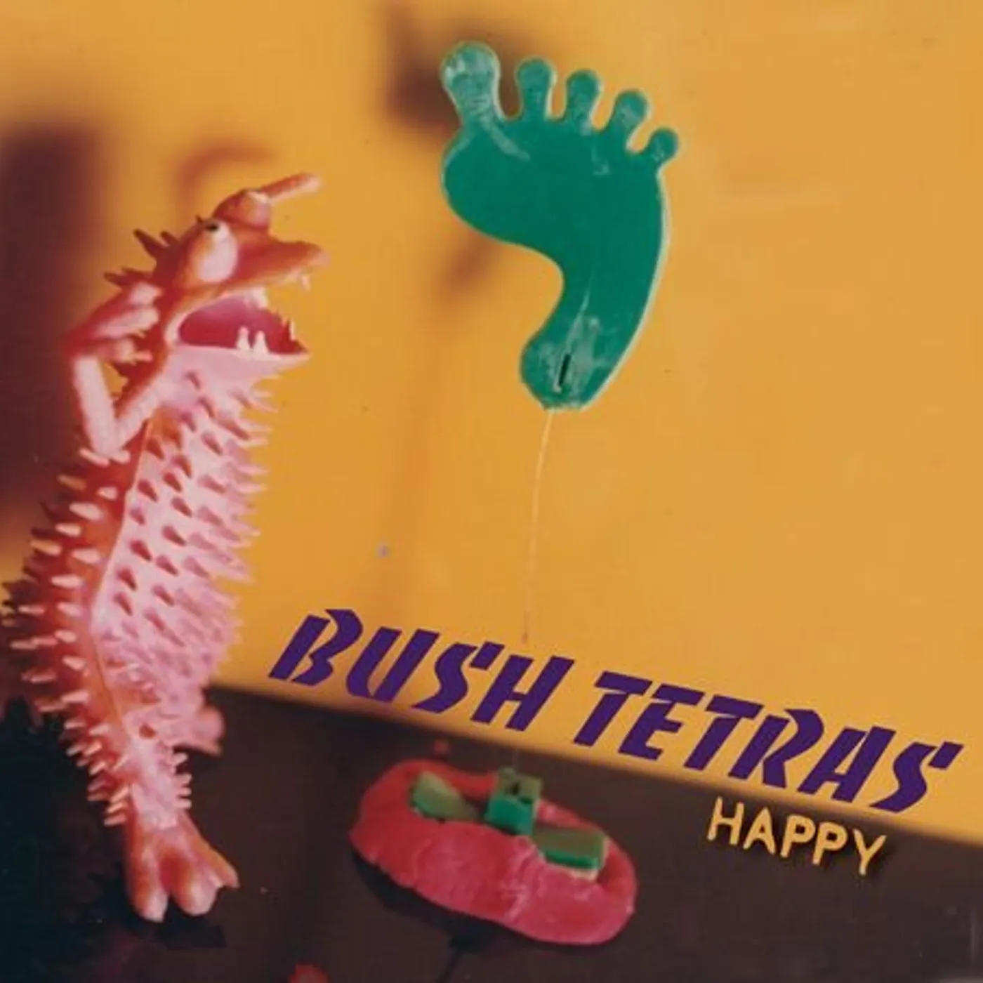 Bush Tetras Happy Vinyl Record
