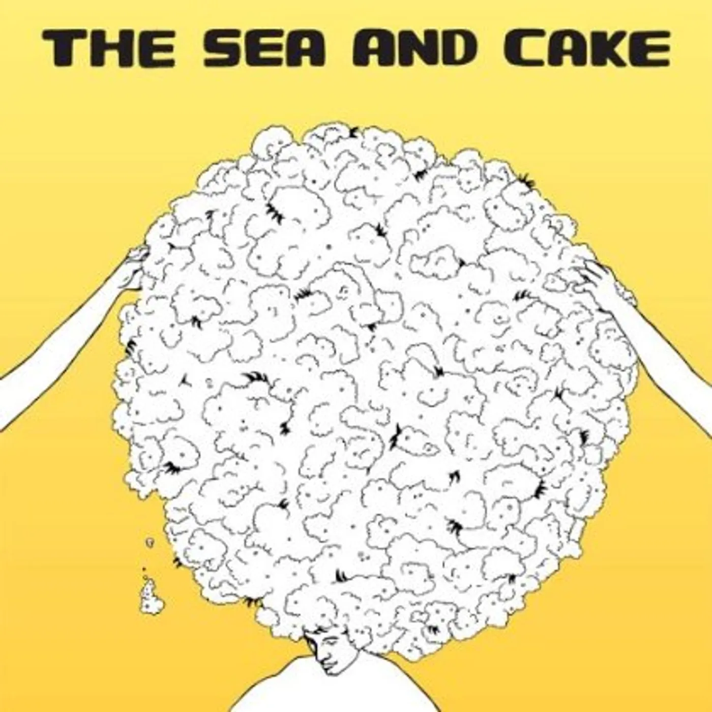 The Sea and Cake Vinyl Record