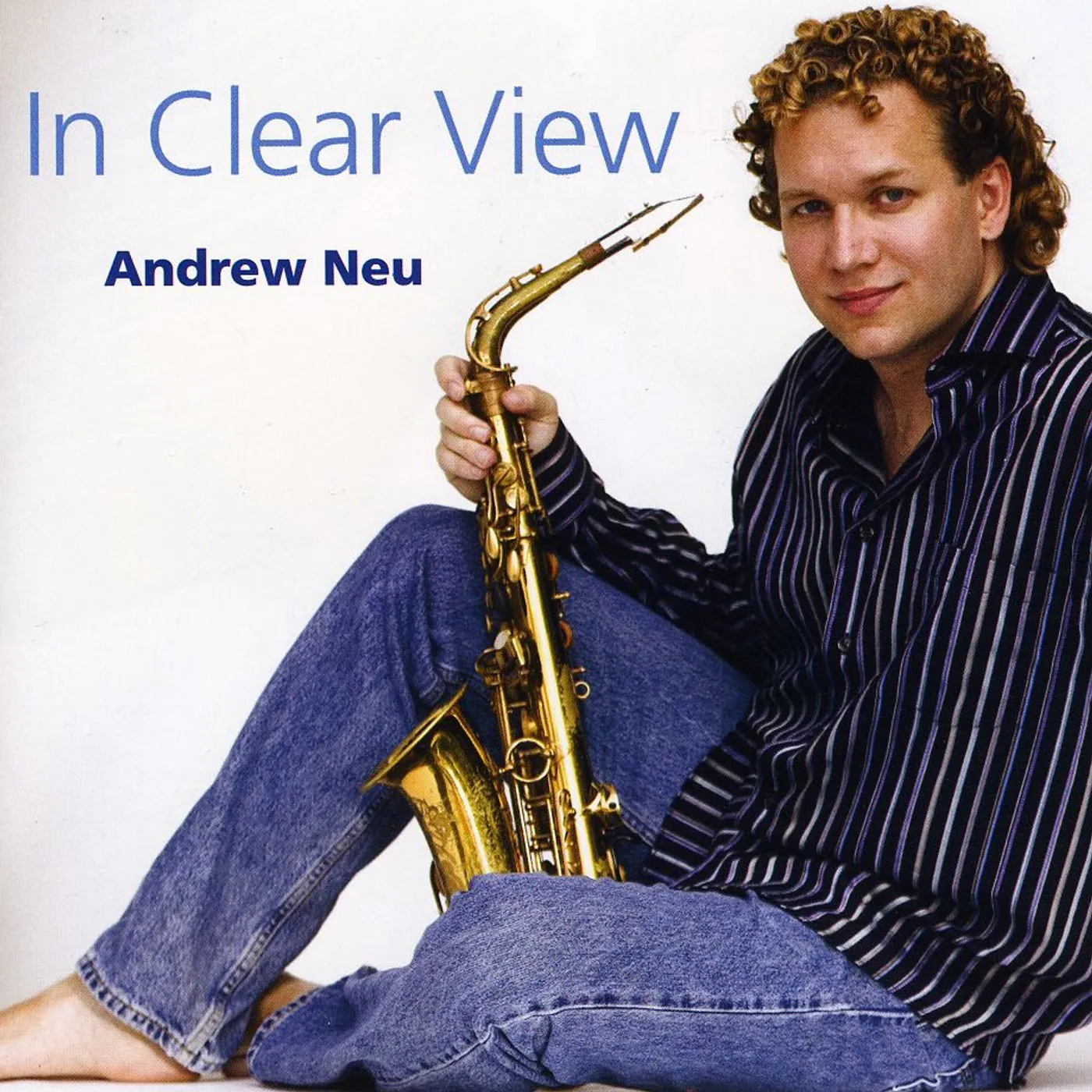 Andrew Neu IN CLEAR VIEW CD