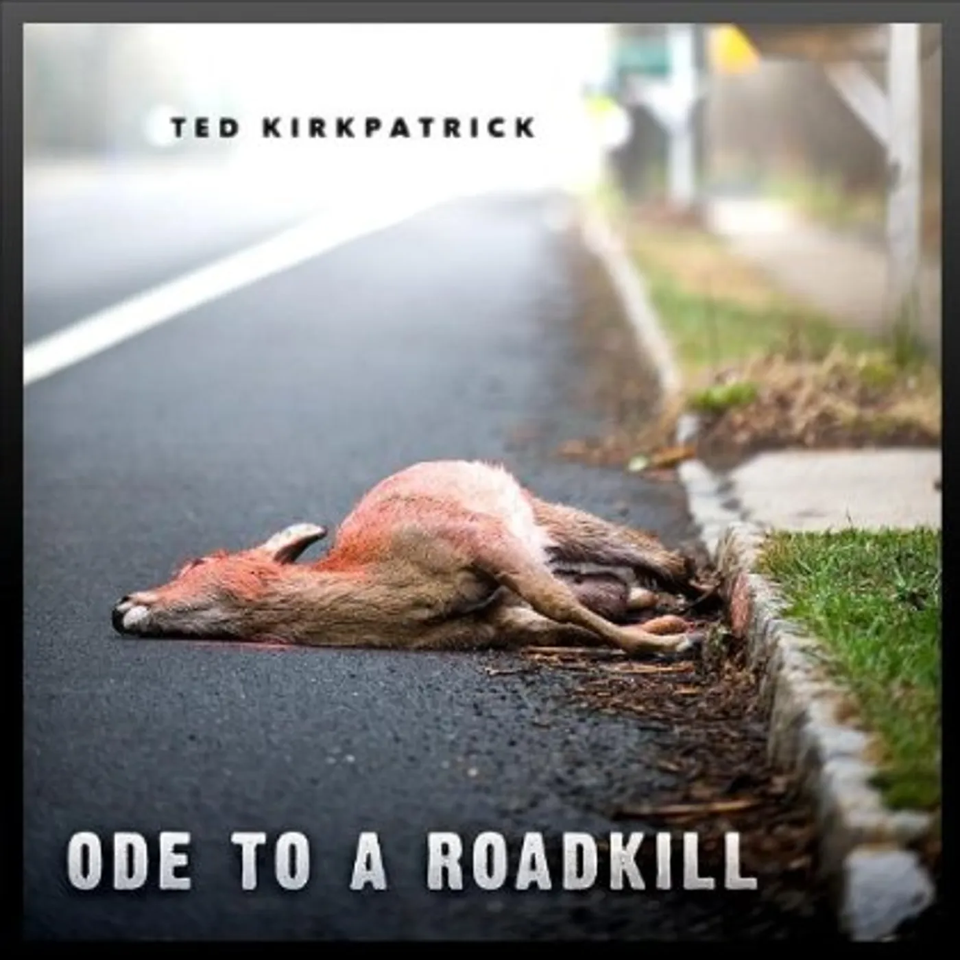 Ted Kirkpatrick ODE TO A ROADKILL CD