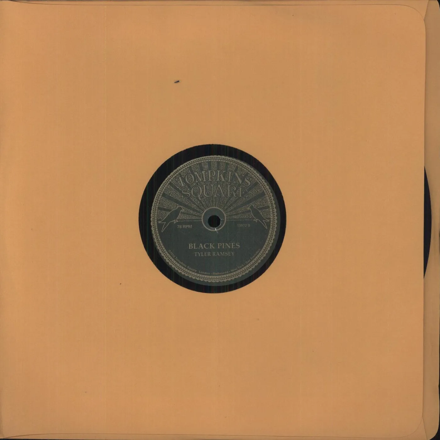 Tyler Ramsey RAVEN SHADOW / BLACK PINES Vinyl Record