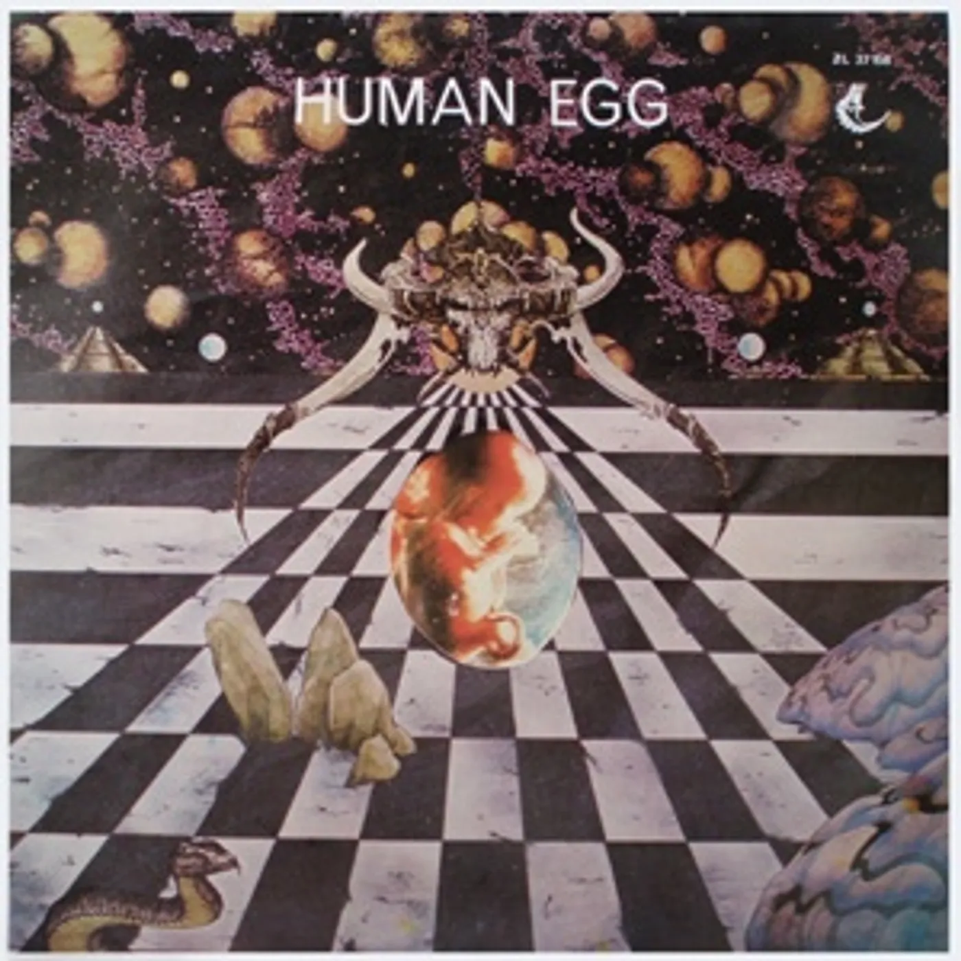 Human Egg Vinyl Record