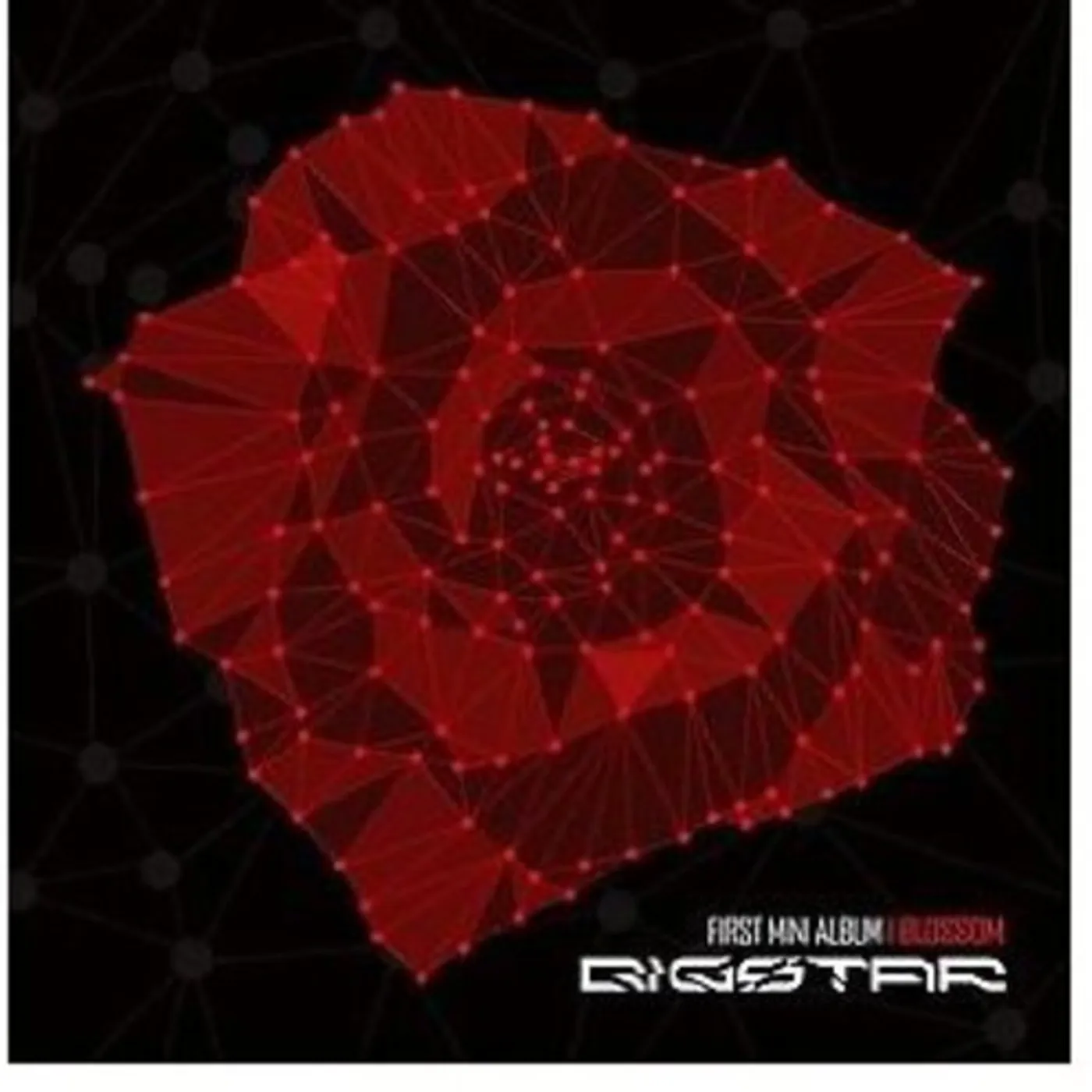 Big Star BLOSSOM CD