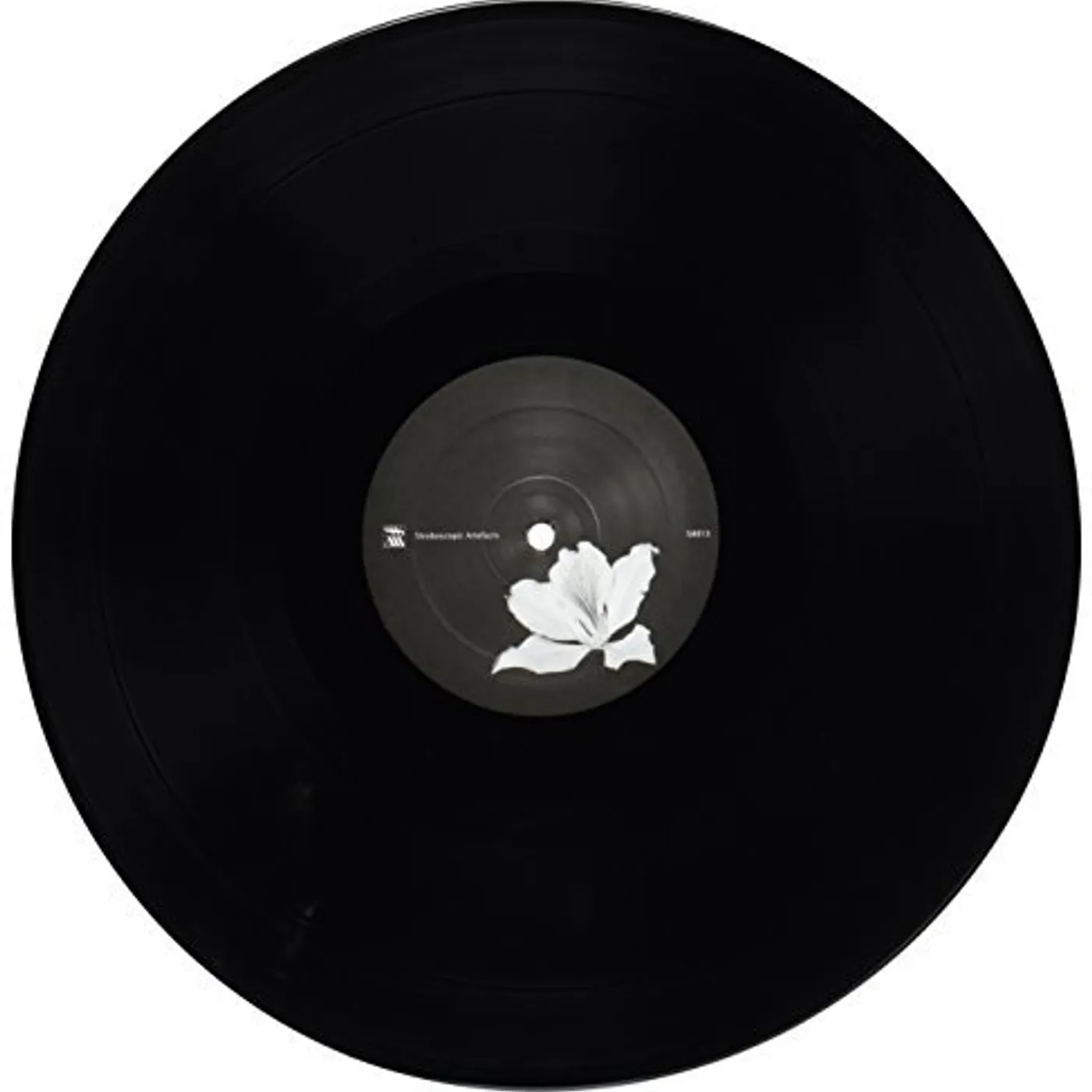 Lucy Banality of Evil Vinyl Record