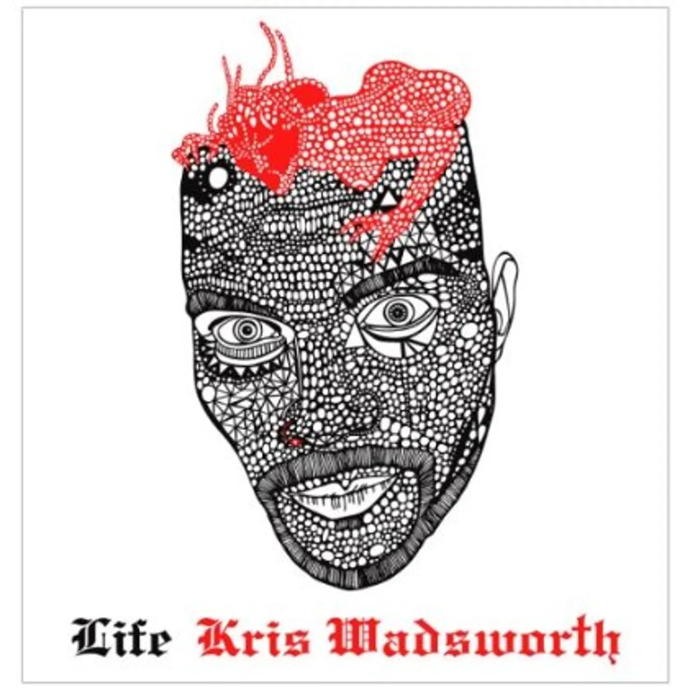 Kris Wadsworth LIFE Vinyl Record