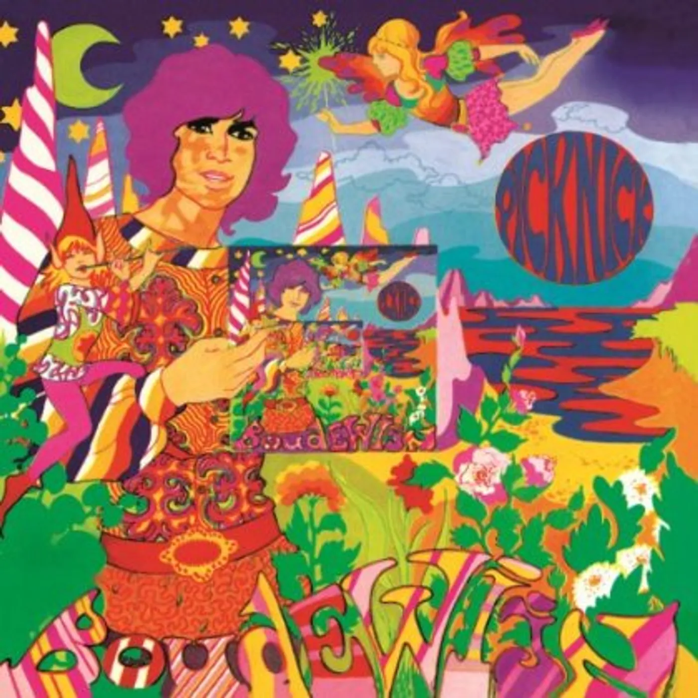 Boudewijn de Groot PICKNICK Vinyl Record - 180 Gram Pressing