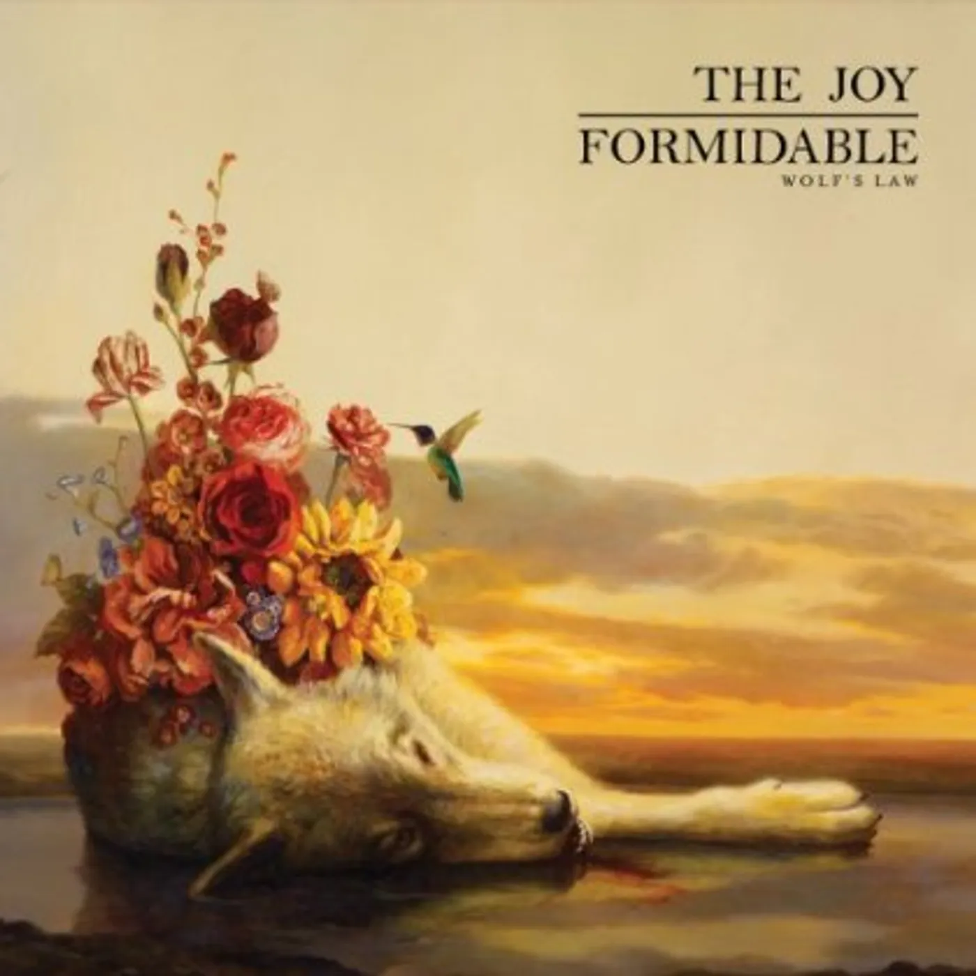 The Joy Formidable Wolf's Law Vinyl Record