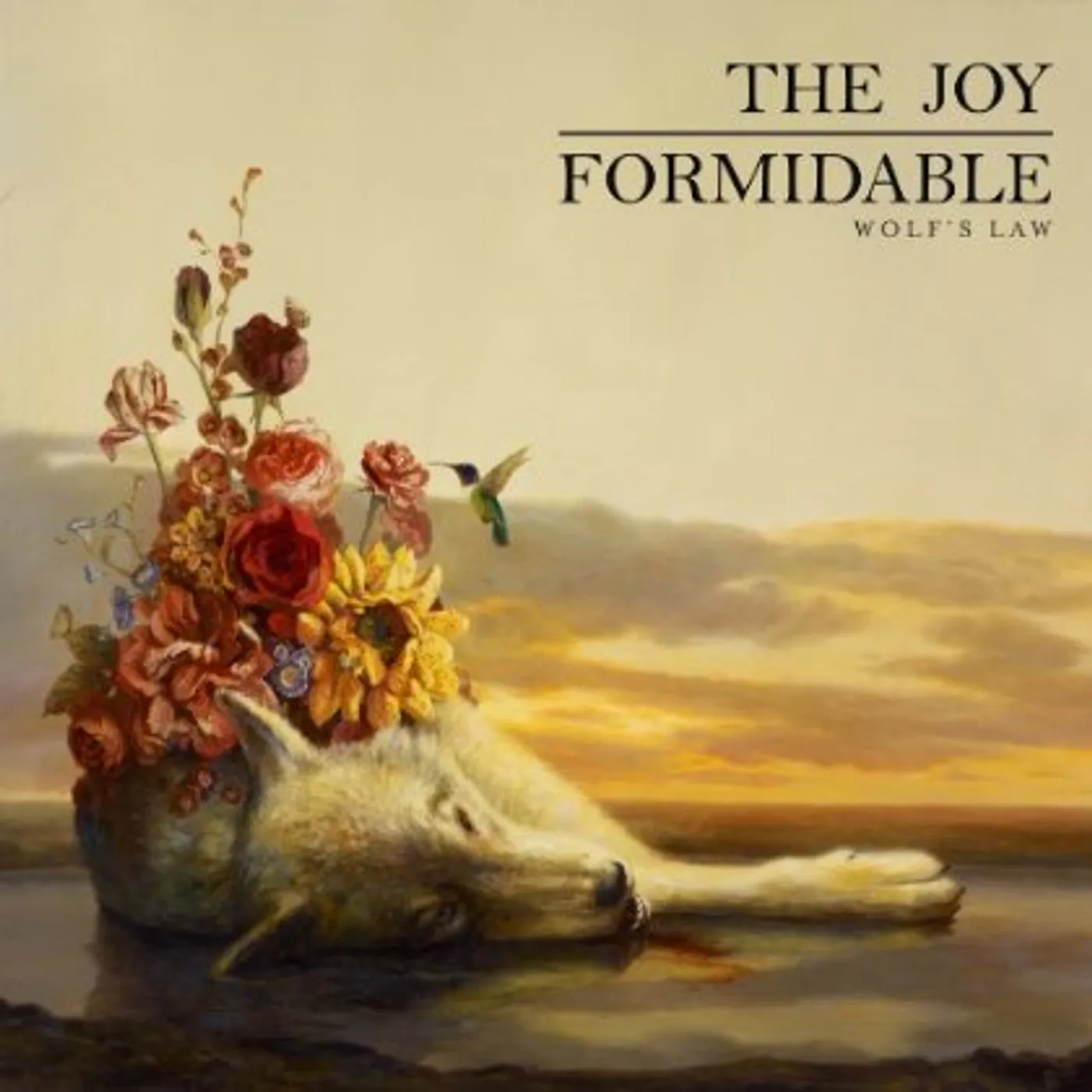 The Joy Formidable WOLF'S LAW CD