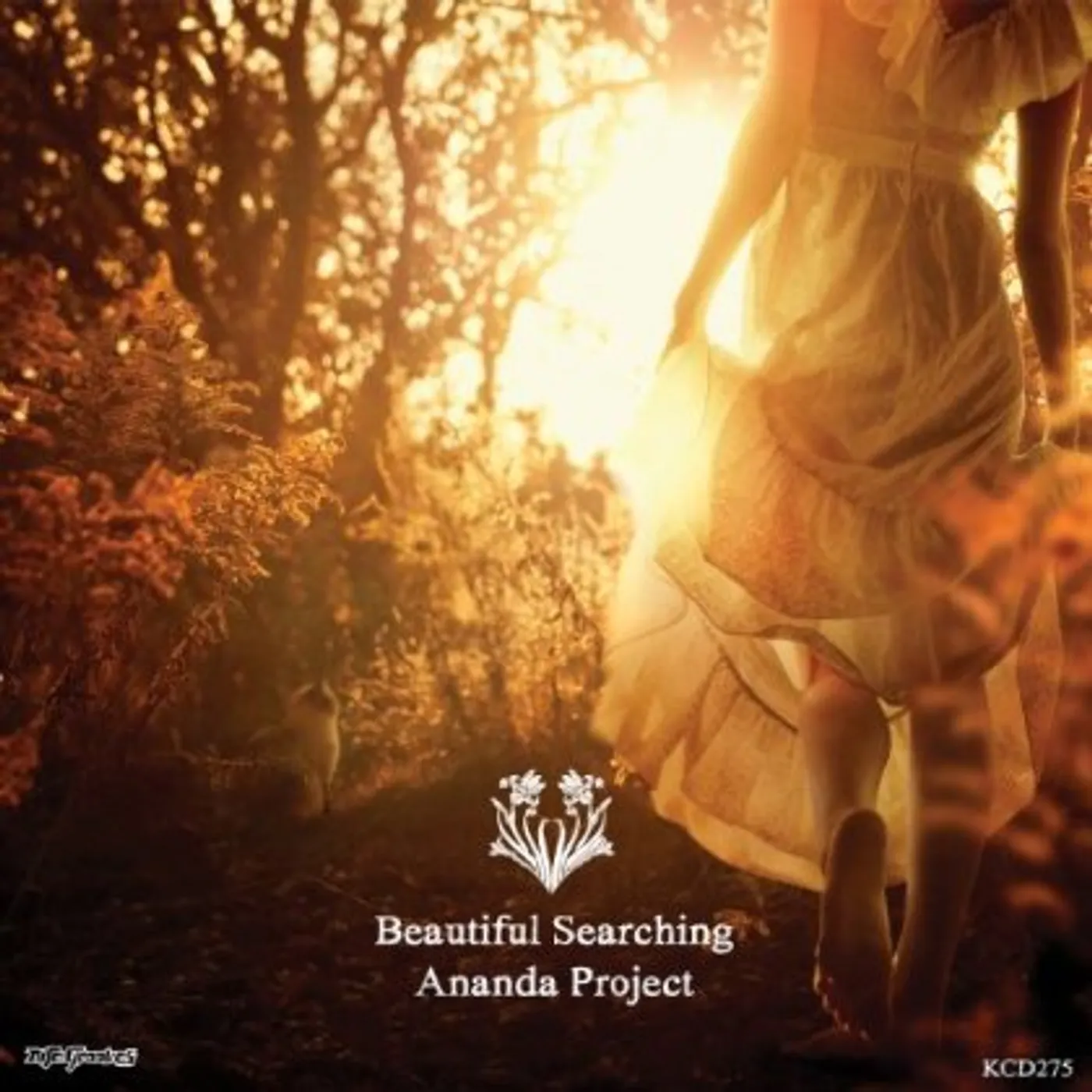 Ananda Project BEAUTIFUL SEARCHING CD