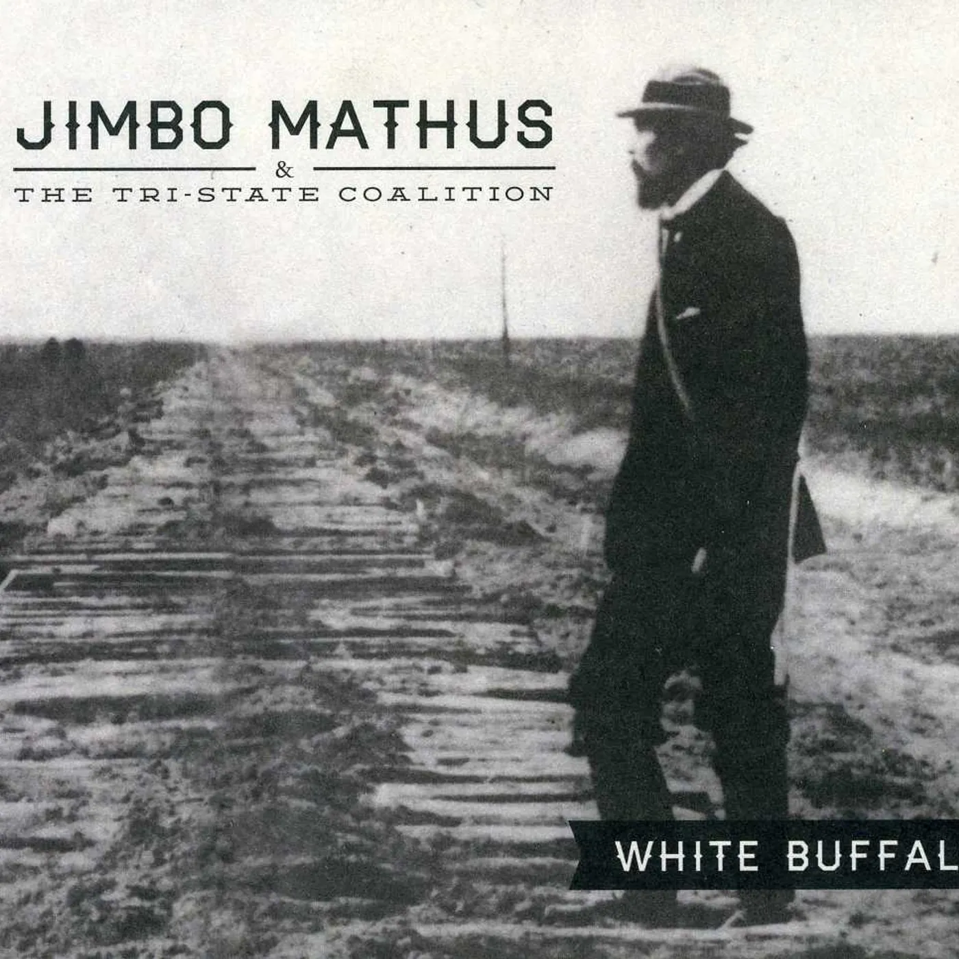 Jimbo Mathus And The Tri State Coalition WHITE BUFFALO CD