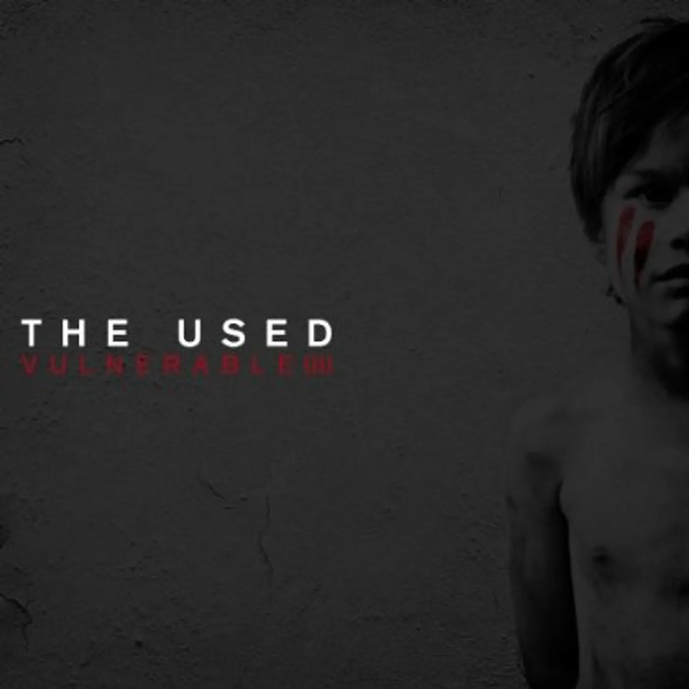 The Used VULNERABLE 2 CD