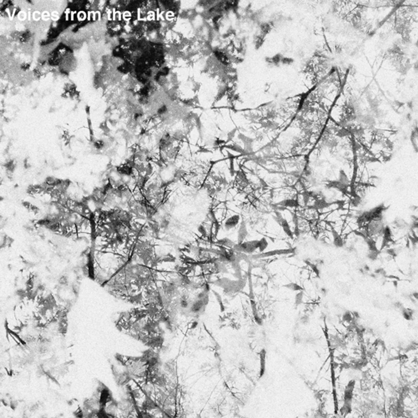 VOICES FROM THE LAKE Vinyl Record