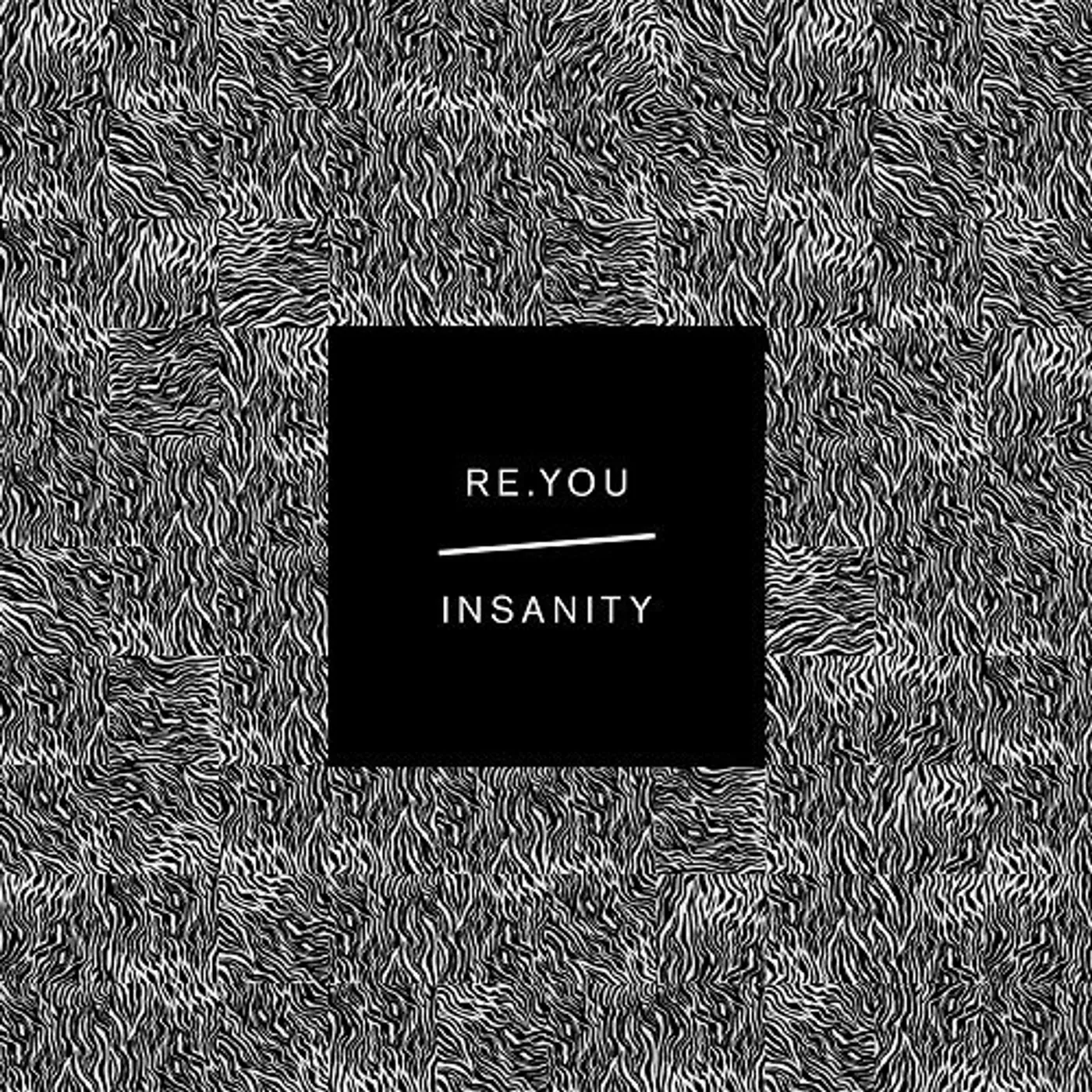 Re.You Insanity Vinyl Record