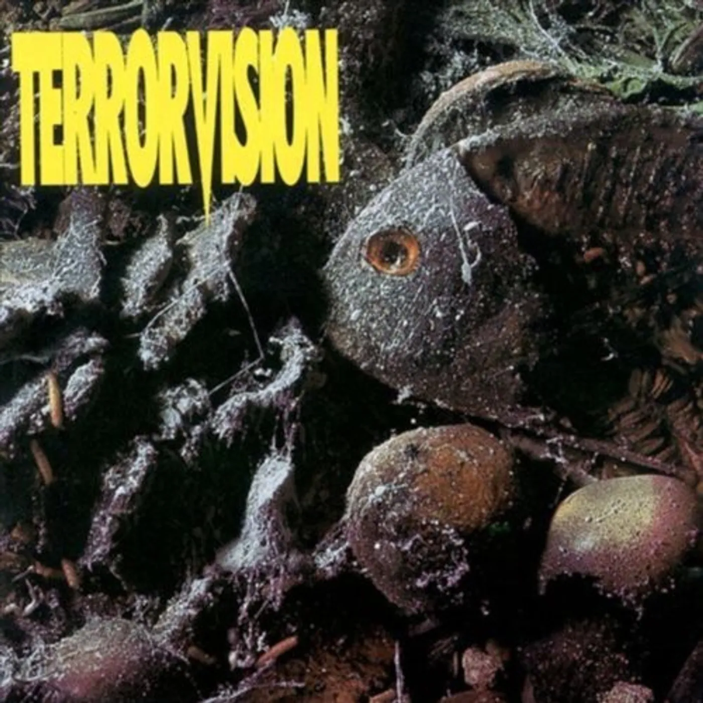 Terrorvision FORMALDEHYDE CD
