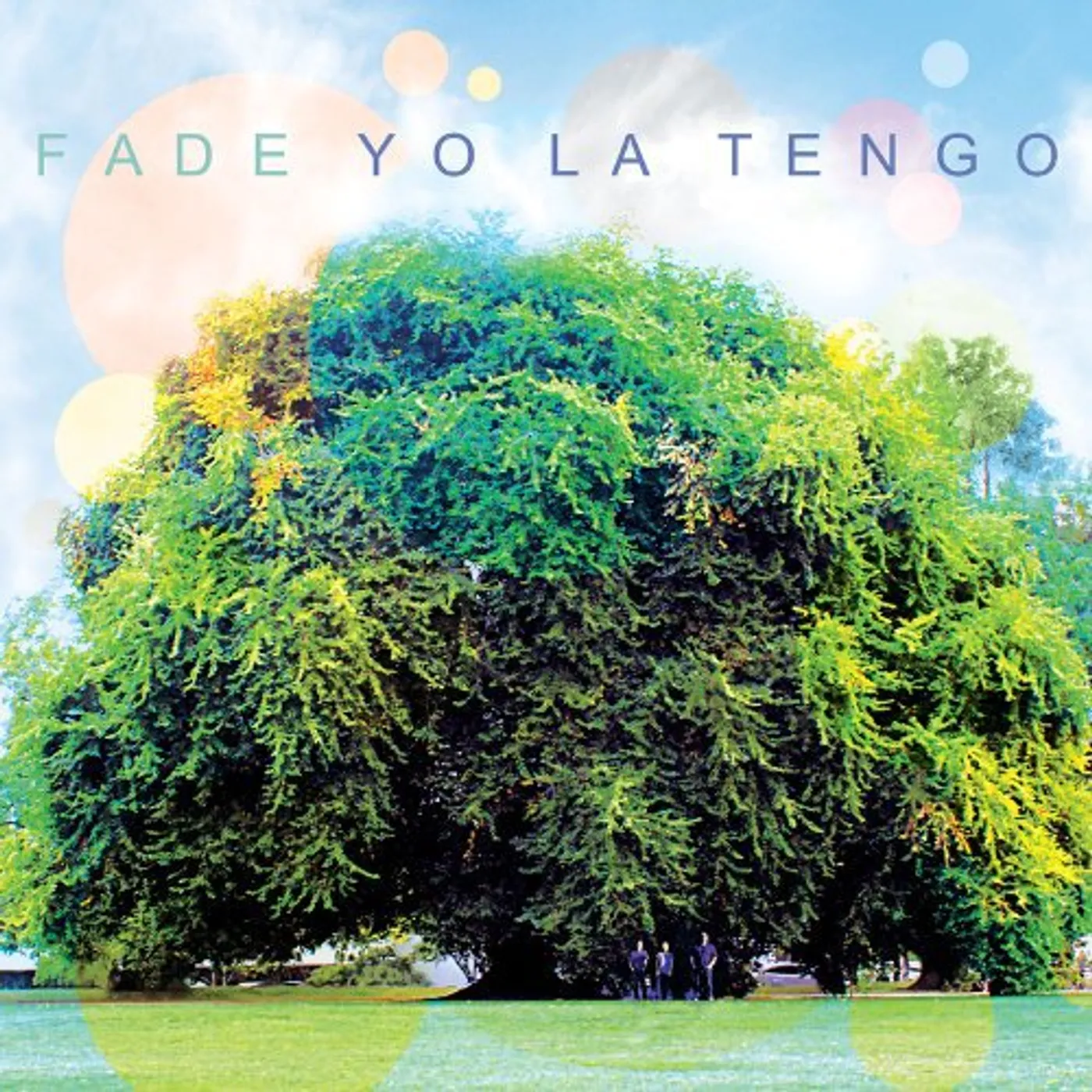 Yo La Tengo Fade Vinyl Record
