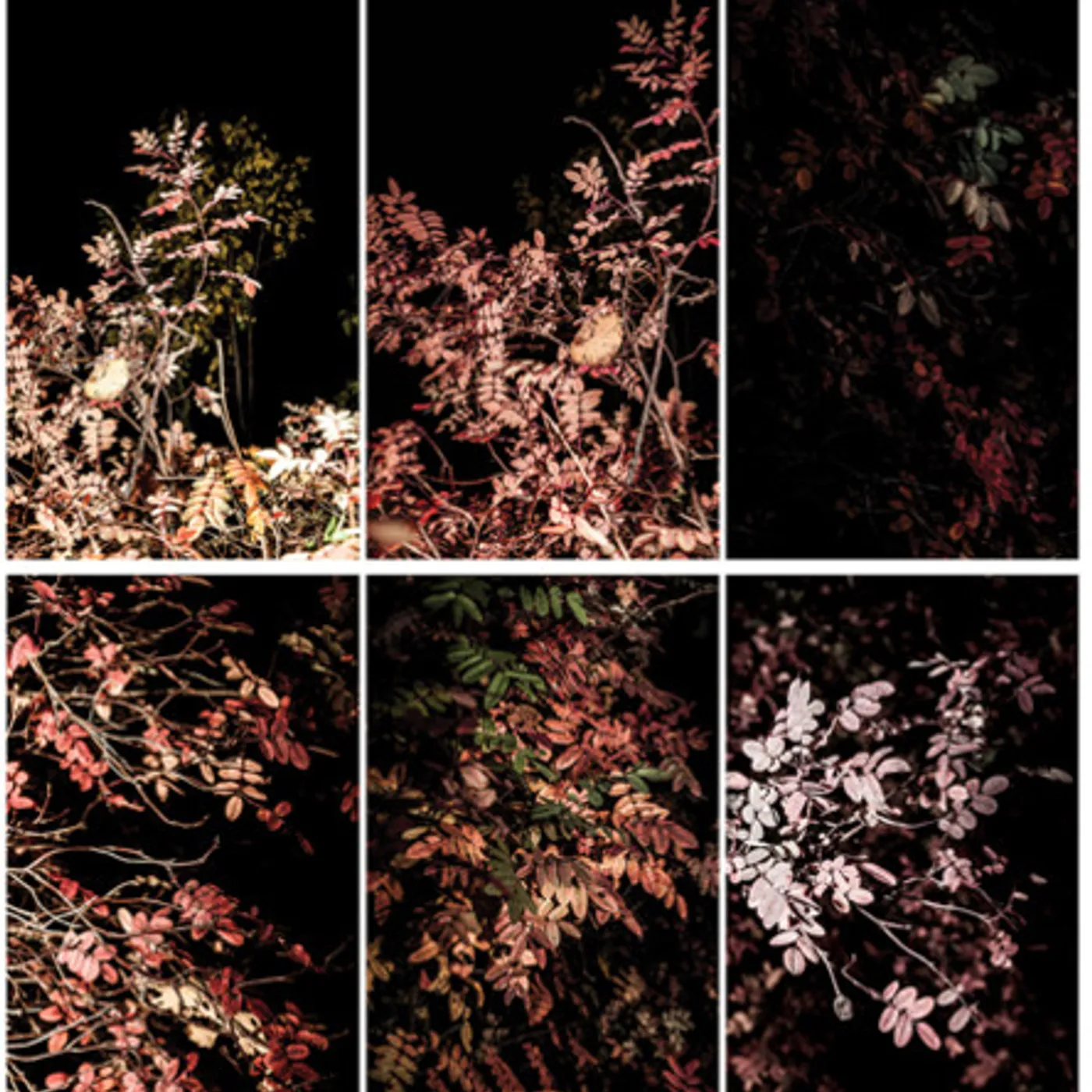 Arve Henriksen SOLIDIFICATION Vinyl Record