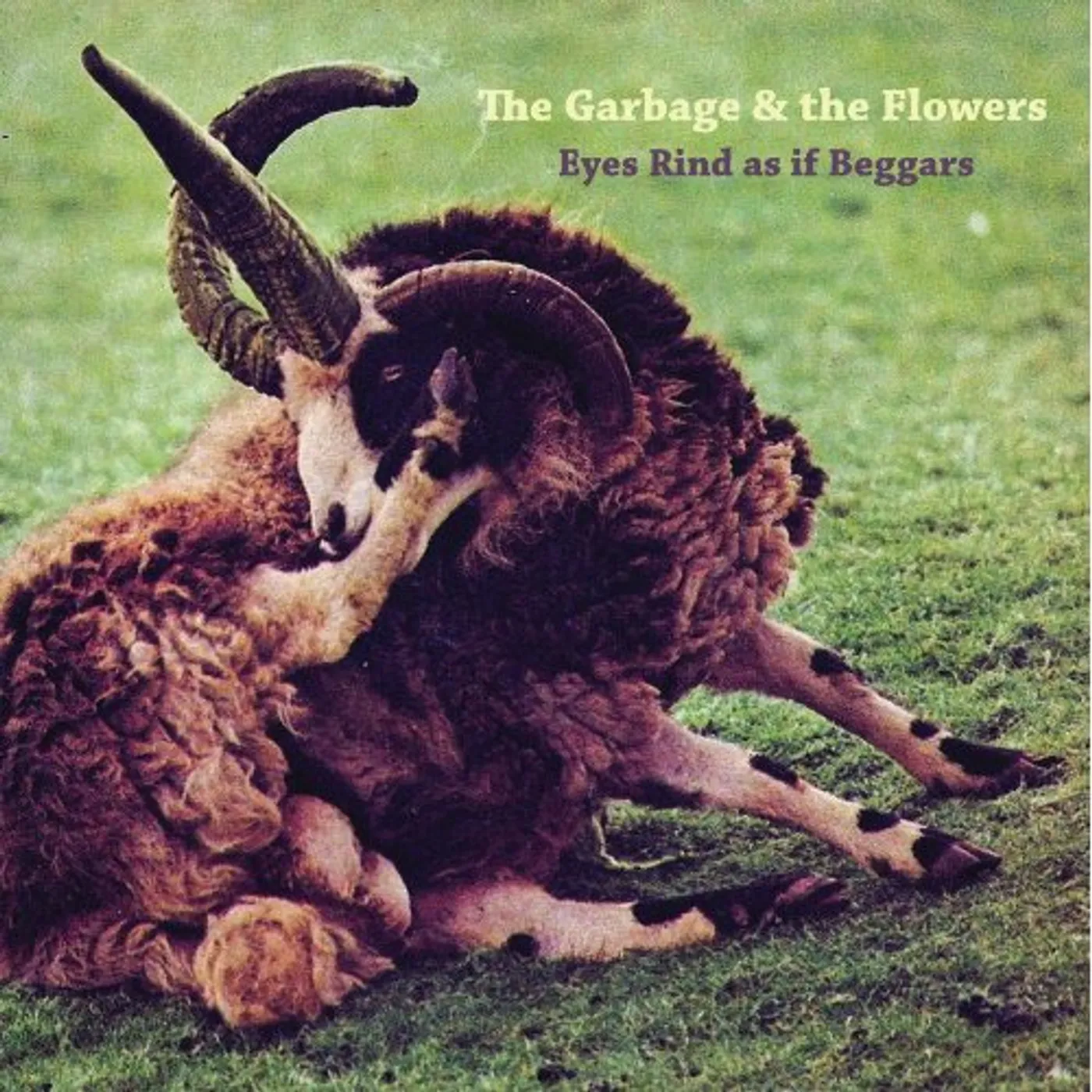 The Garbage & the Flowers Eyes Rind As If Beggars Vinyl Record