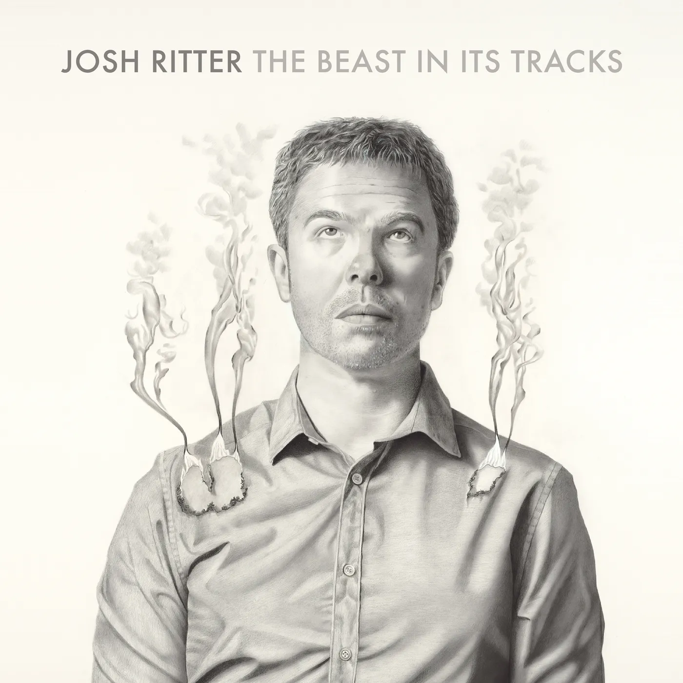 Josh Ritter BEAST IN ITS TRACKS CD