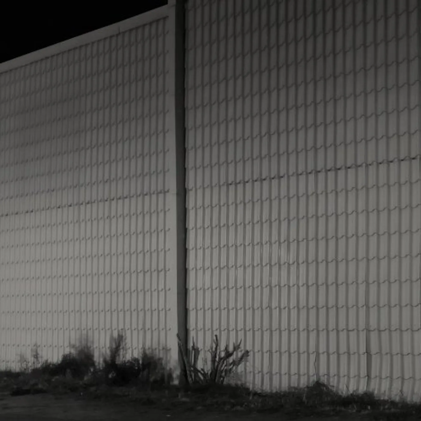 Fuji Kureta Canow Vinyl Record