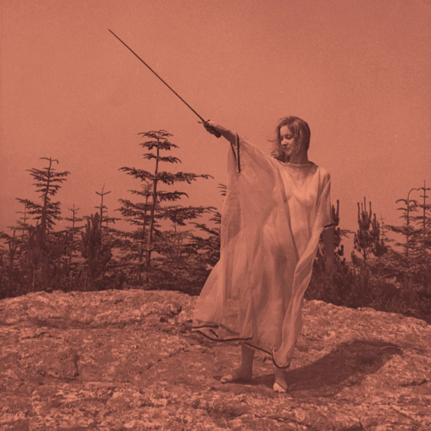 Unknown Mortal Orchestra II CD