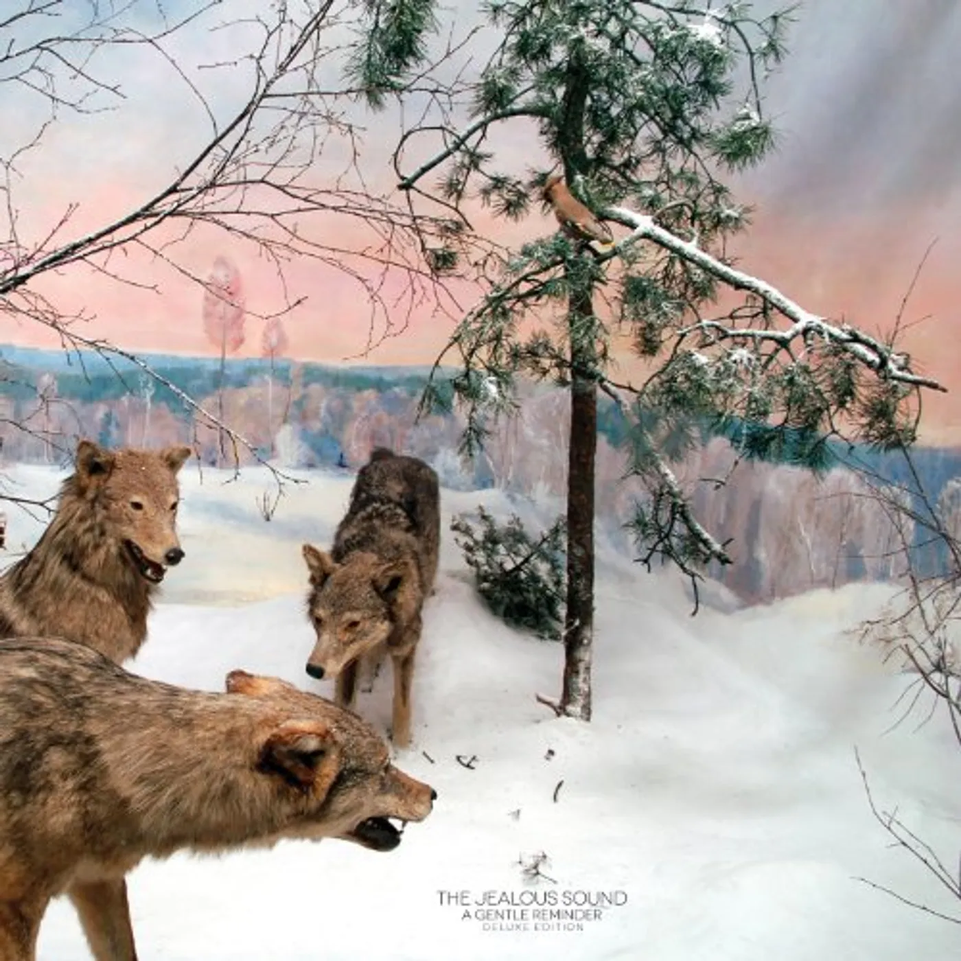 The Jealous Sound 43542 GENTLE REMINDER DELUXE EDITION Vinyl Record