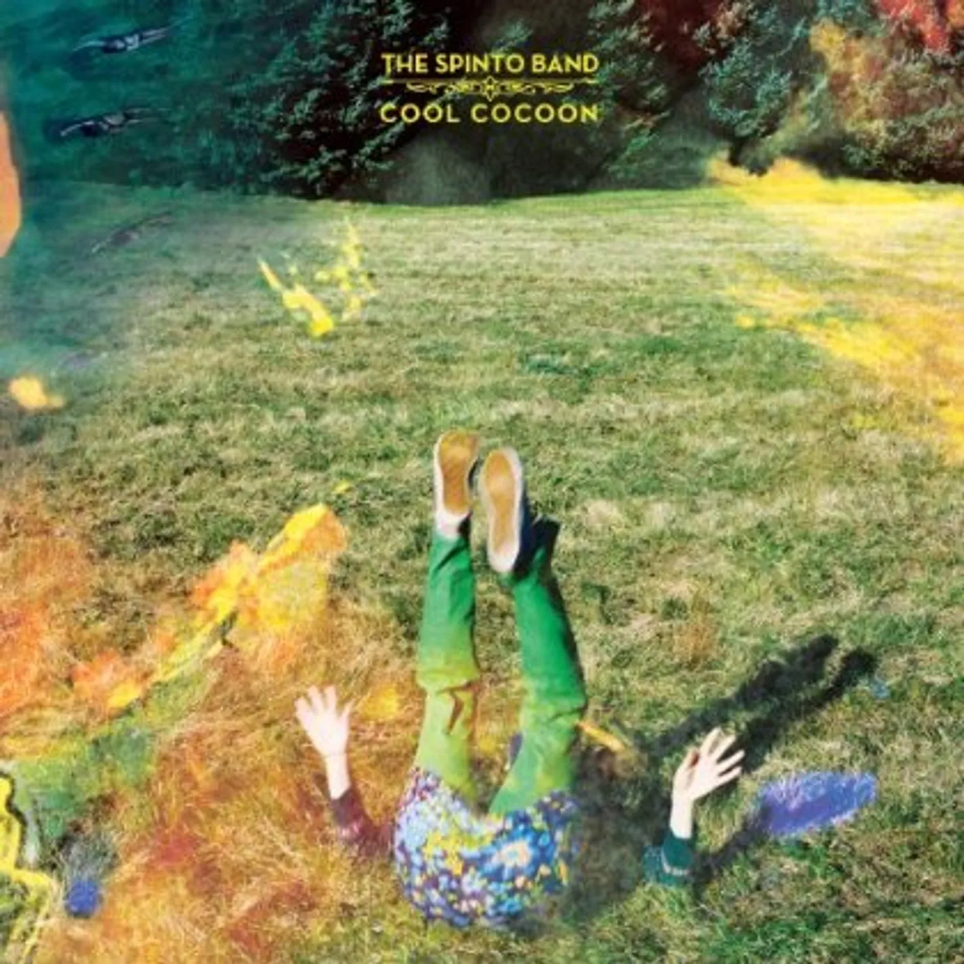 The Spinto Band COOL COCOON CD