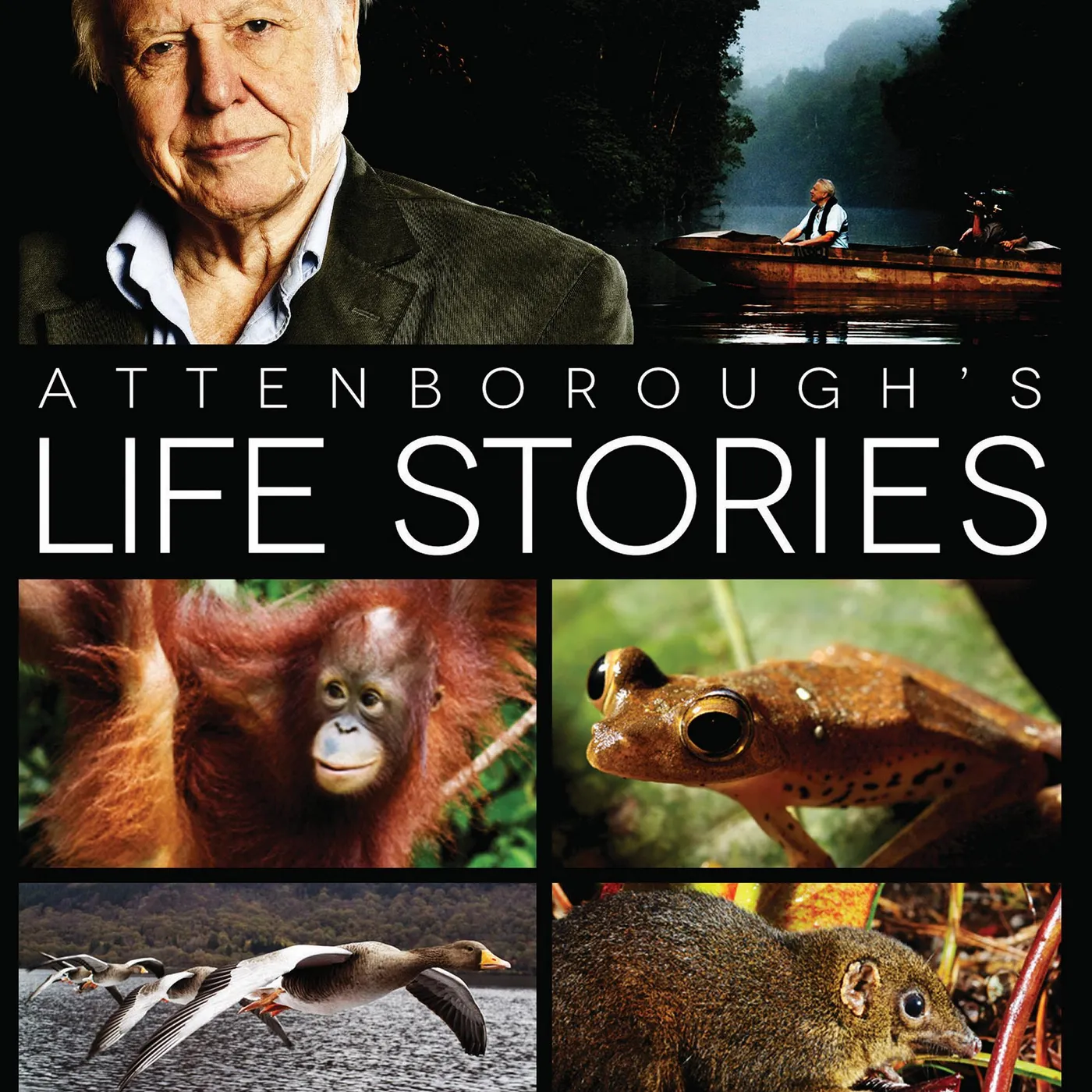 David Attenborough LIFE STORIES DVD