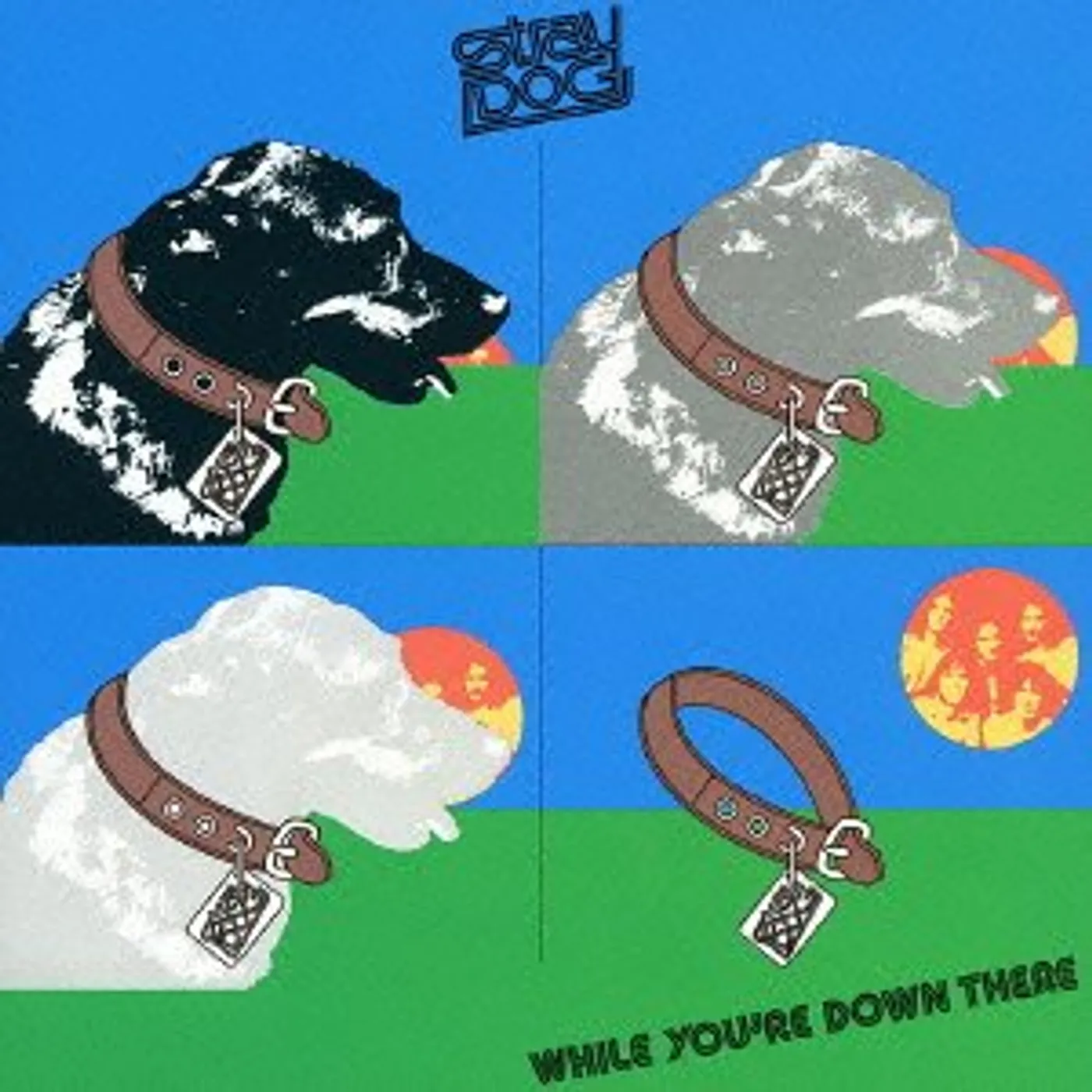 Stray Dog WHILE YOU'RE DOWN THERE CD