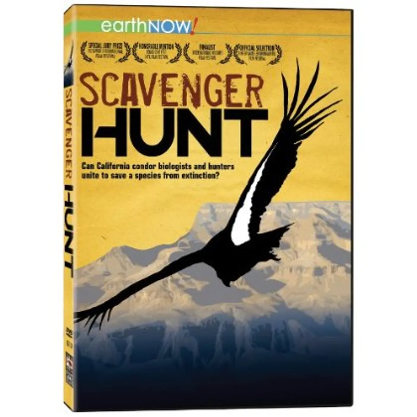 Scavenger Hunt DVD