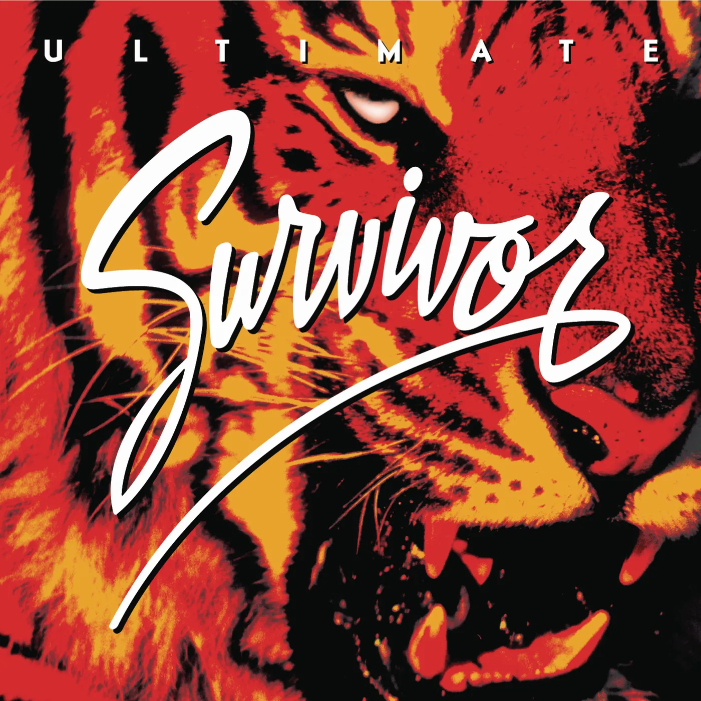 ULTIMATE SURVIVOR CD