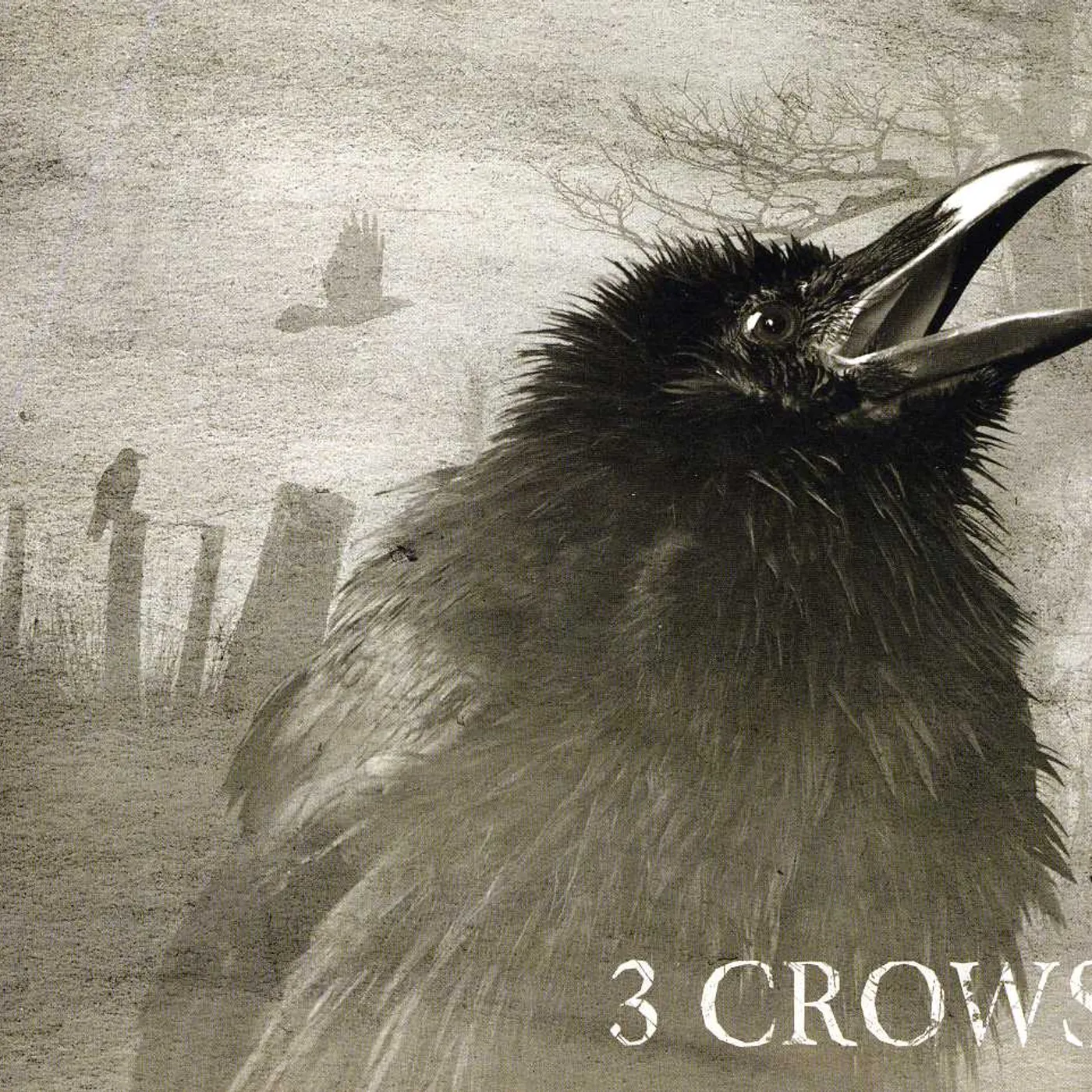 Chris Buck 3 CROWS CD