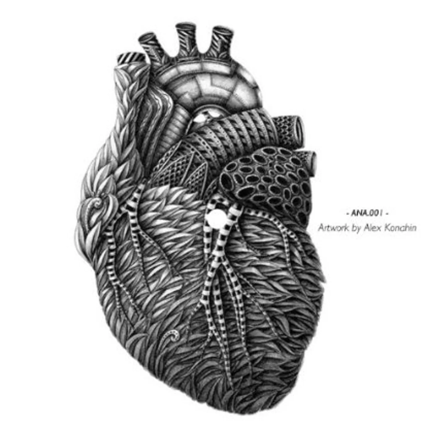 Borealis FIZZMINT Vinyl Record