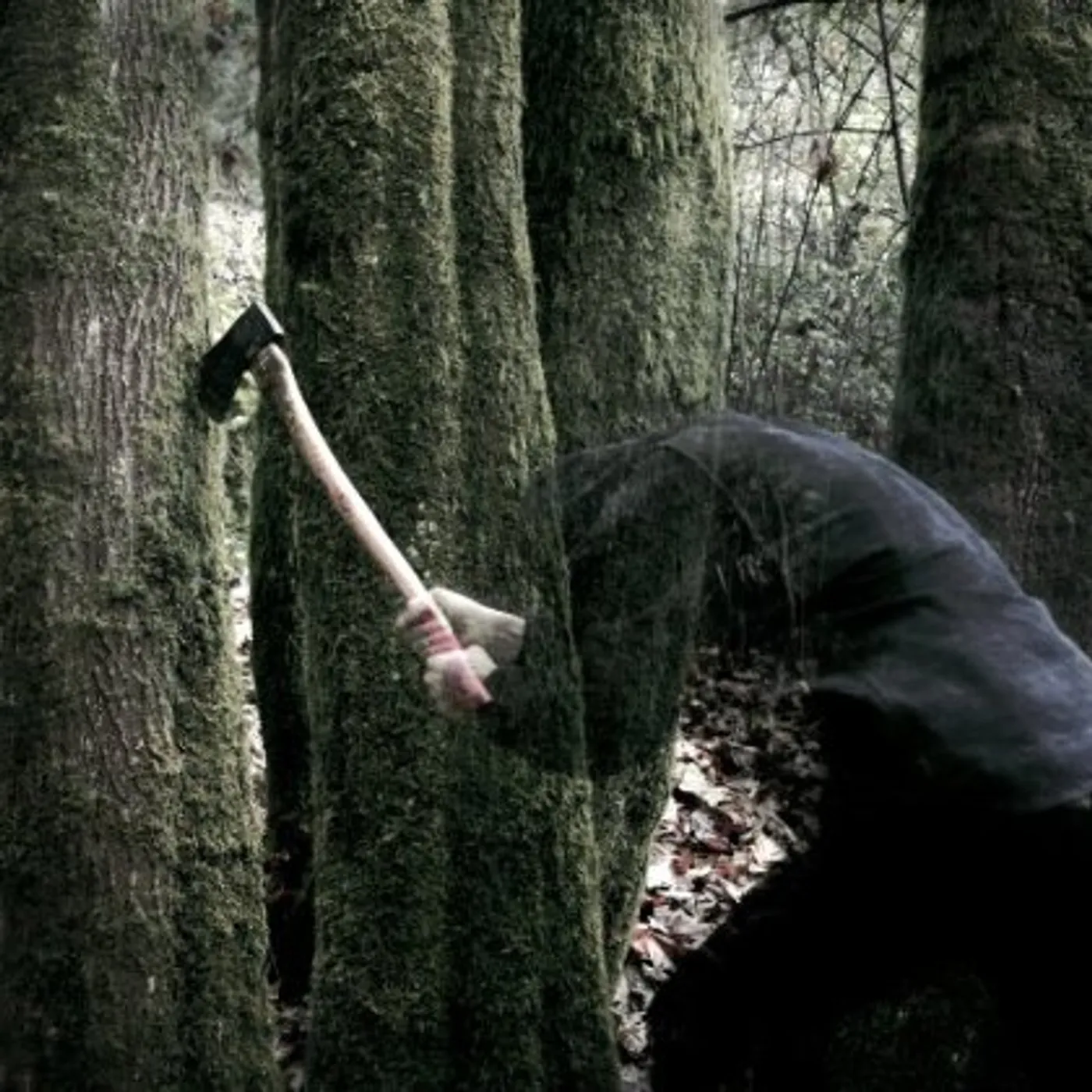 Baptists BUSHCRAFT CD