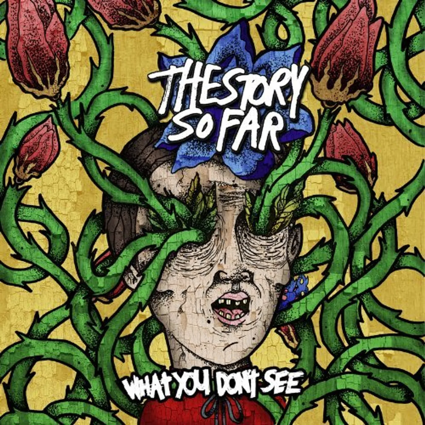 The Story So Far WHAT YOU DON'T SEE CD