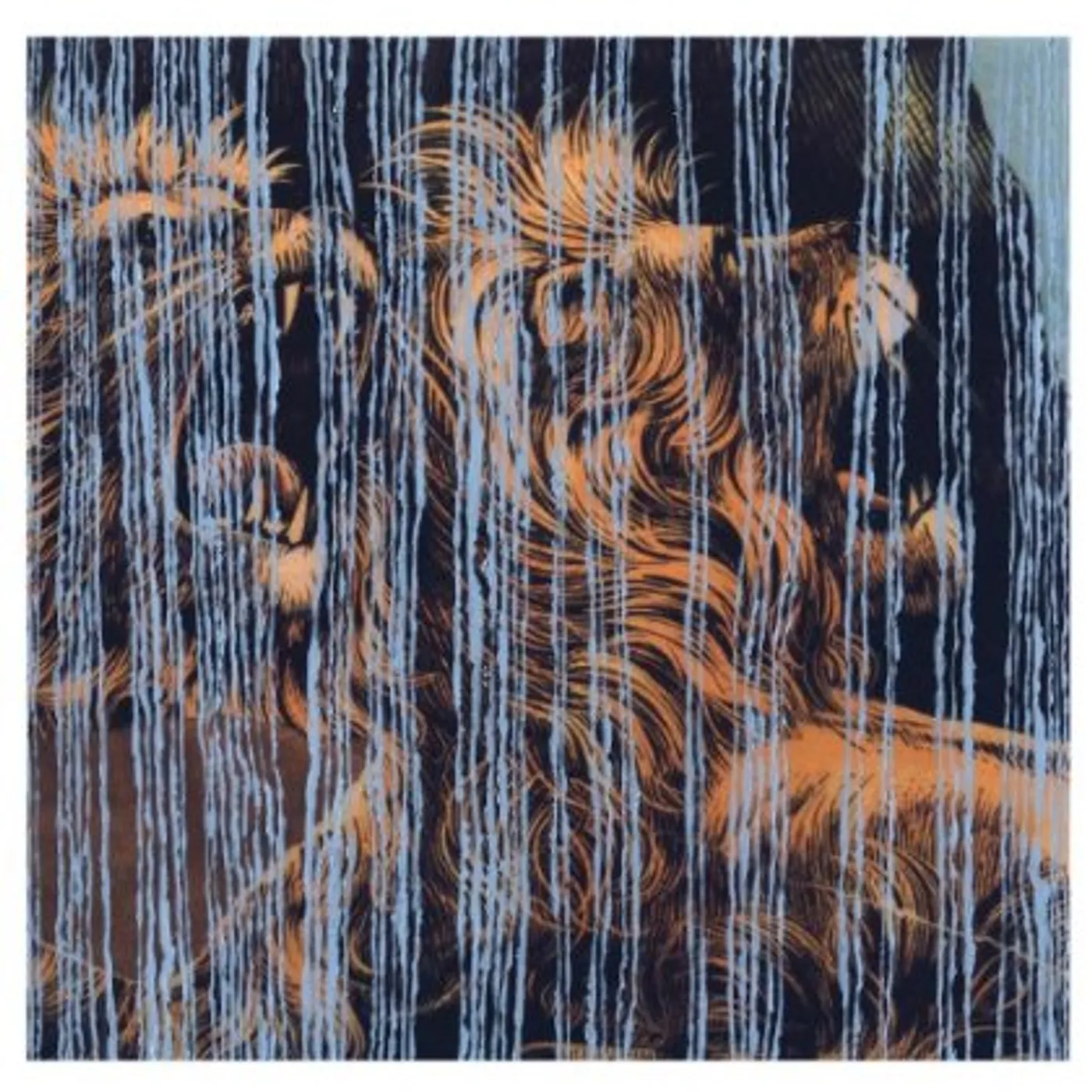 Julian Lynch Lines Vinyl Record