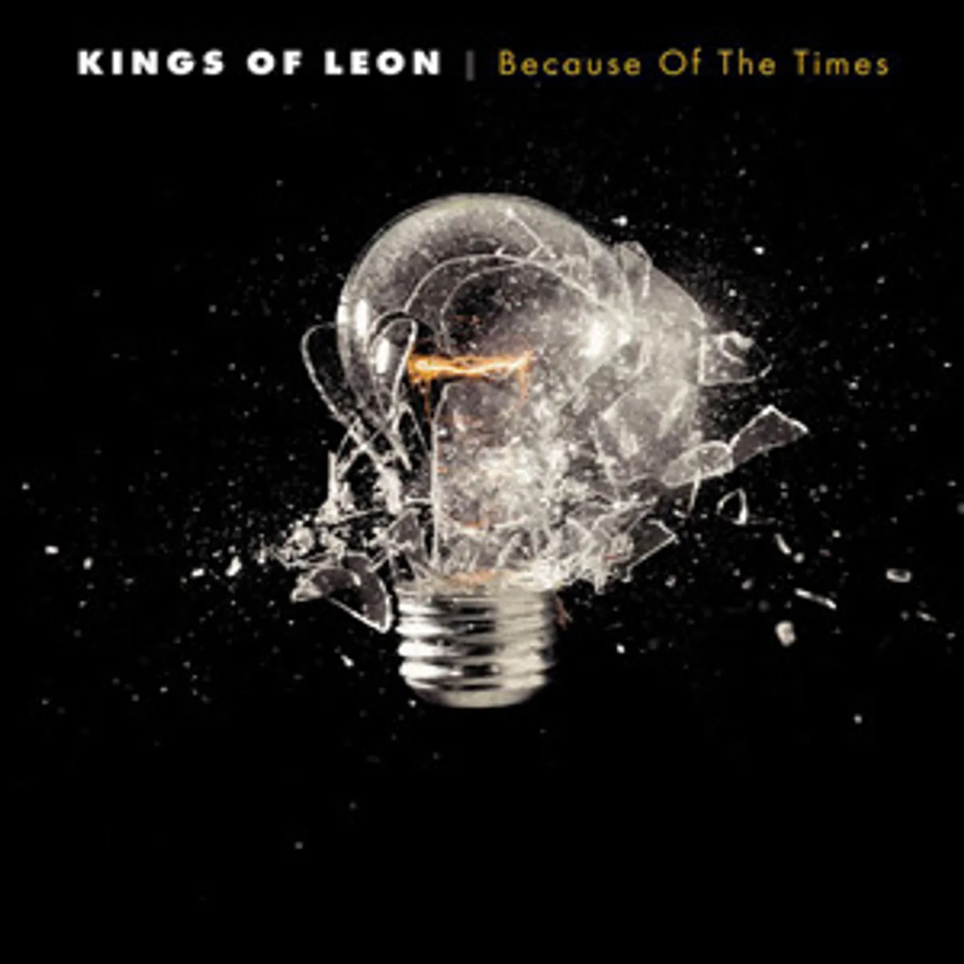 Kings of Leon Because Of The Times Vinyl Record