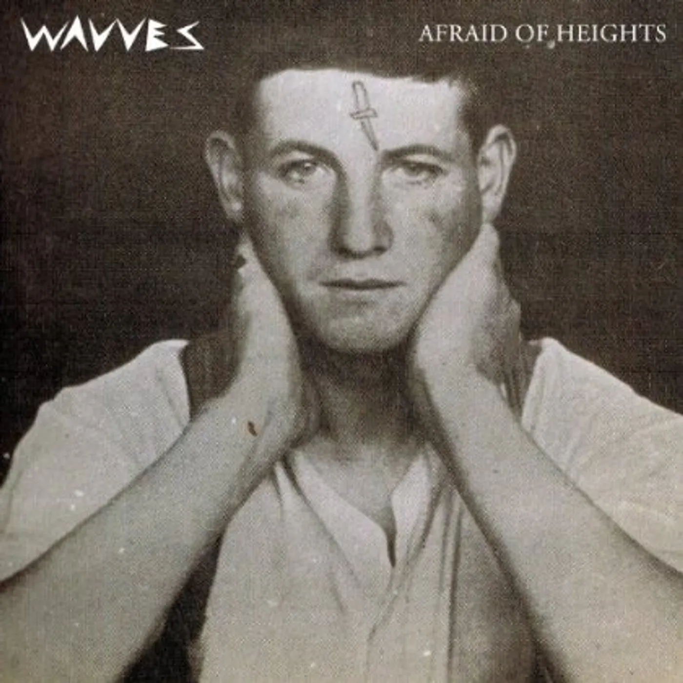 Wavves Afraid Of Heights Vinyl Record