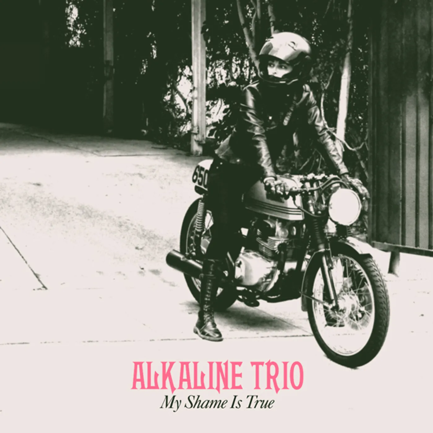 Alkaline Trio MY SHAME IS TRUE CD