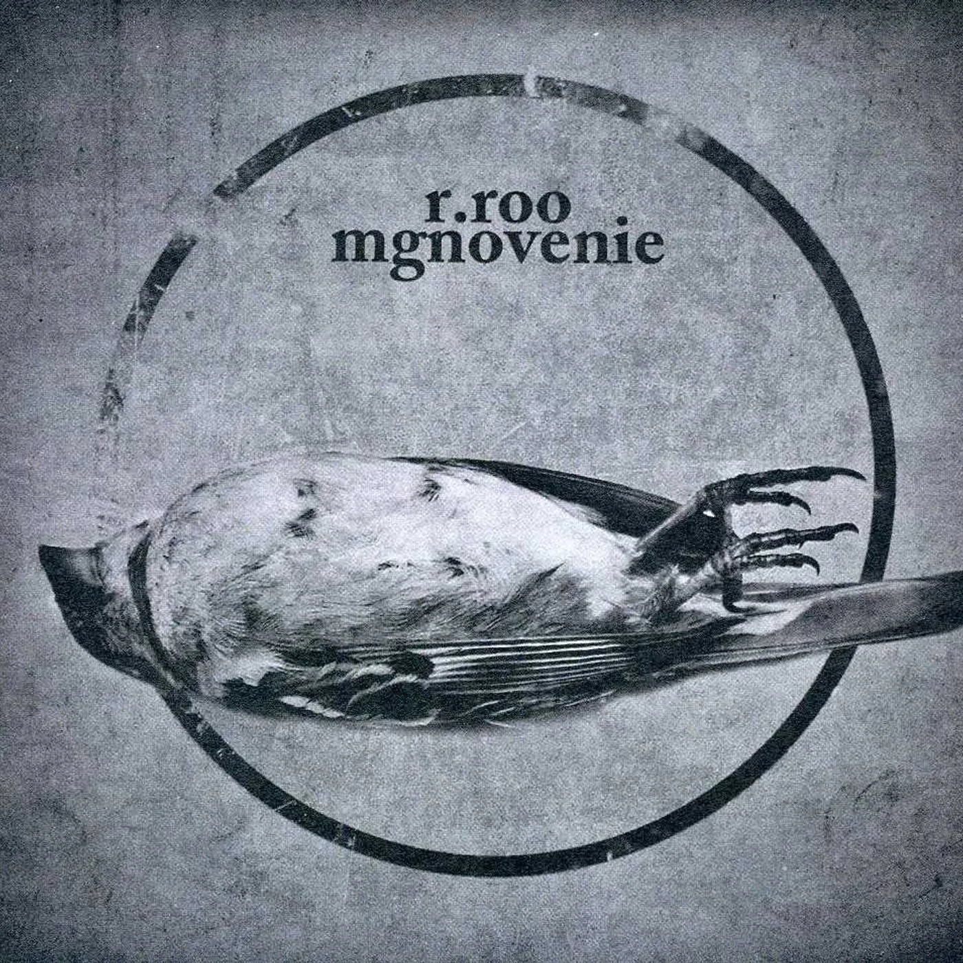 r.roo MGNOVENIE CD