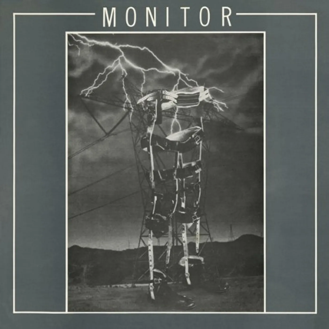 Monitor Vinyl Record