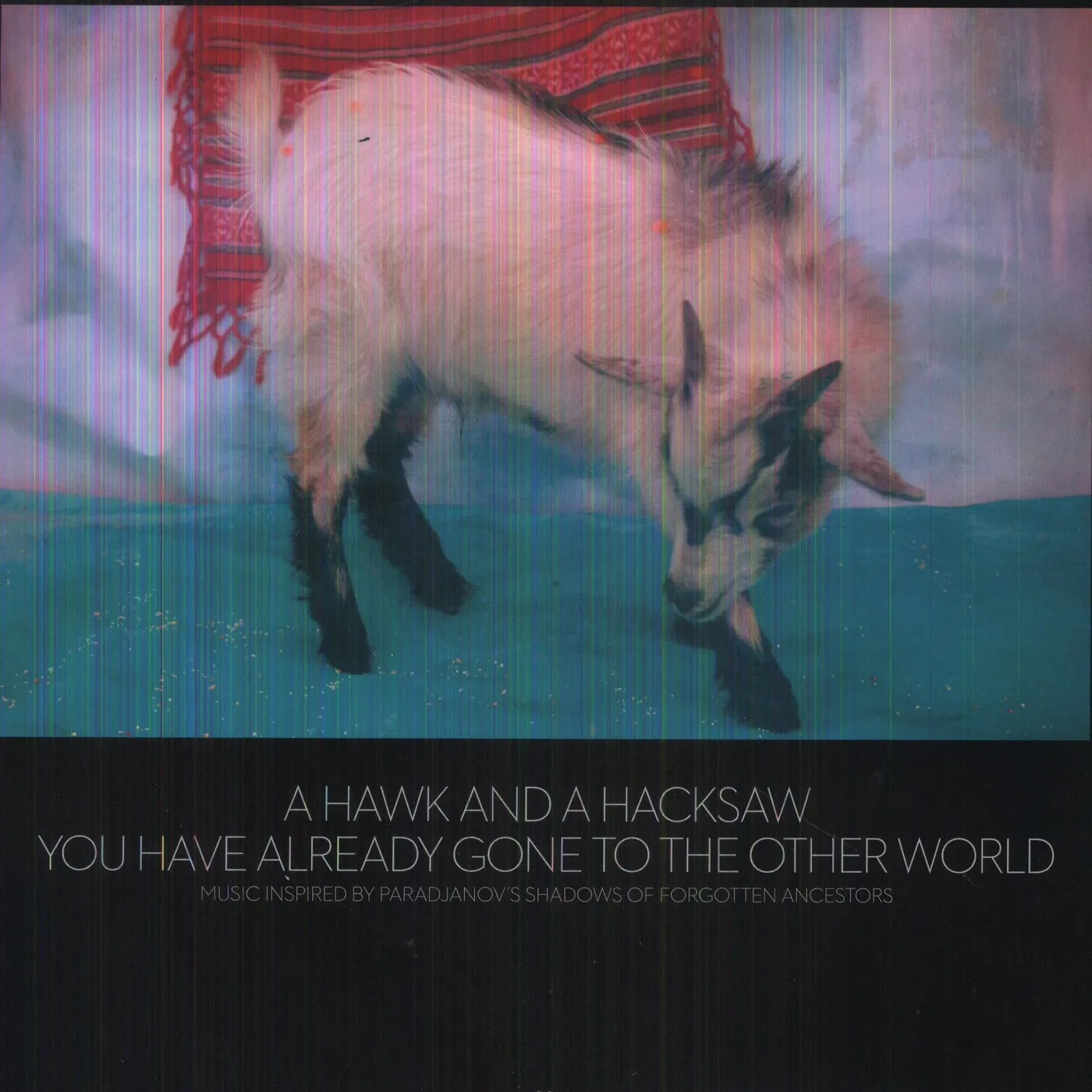 A Hawk And A Hacksaw You Have Already Gone to the Other World Vinyl Record