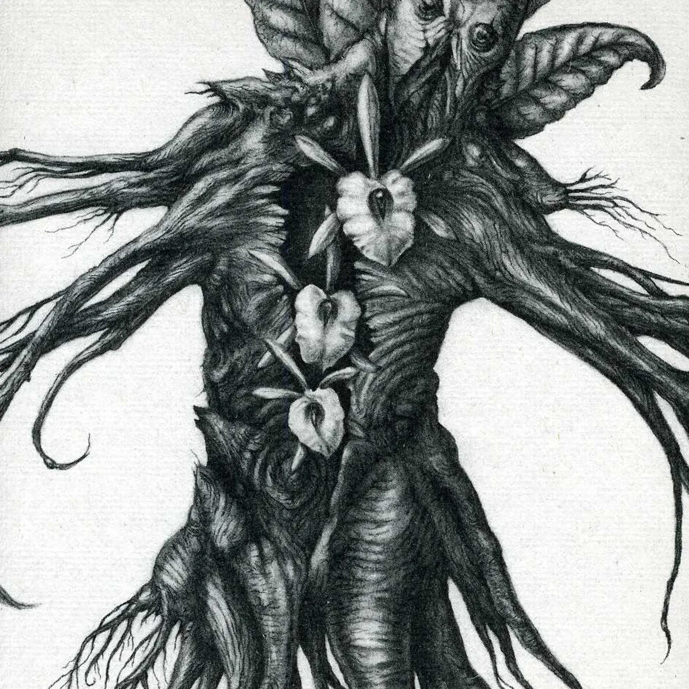 Botanist IV: MANDRAGORA CD